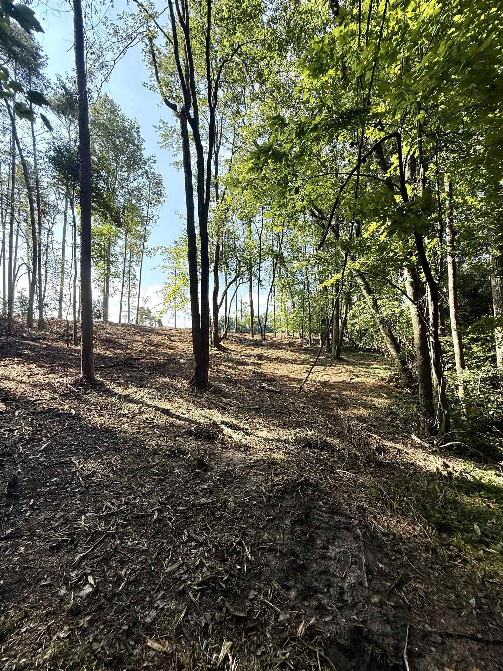331982 Property Photo 5