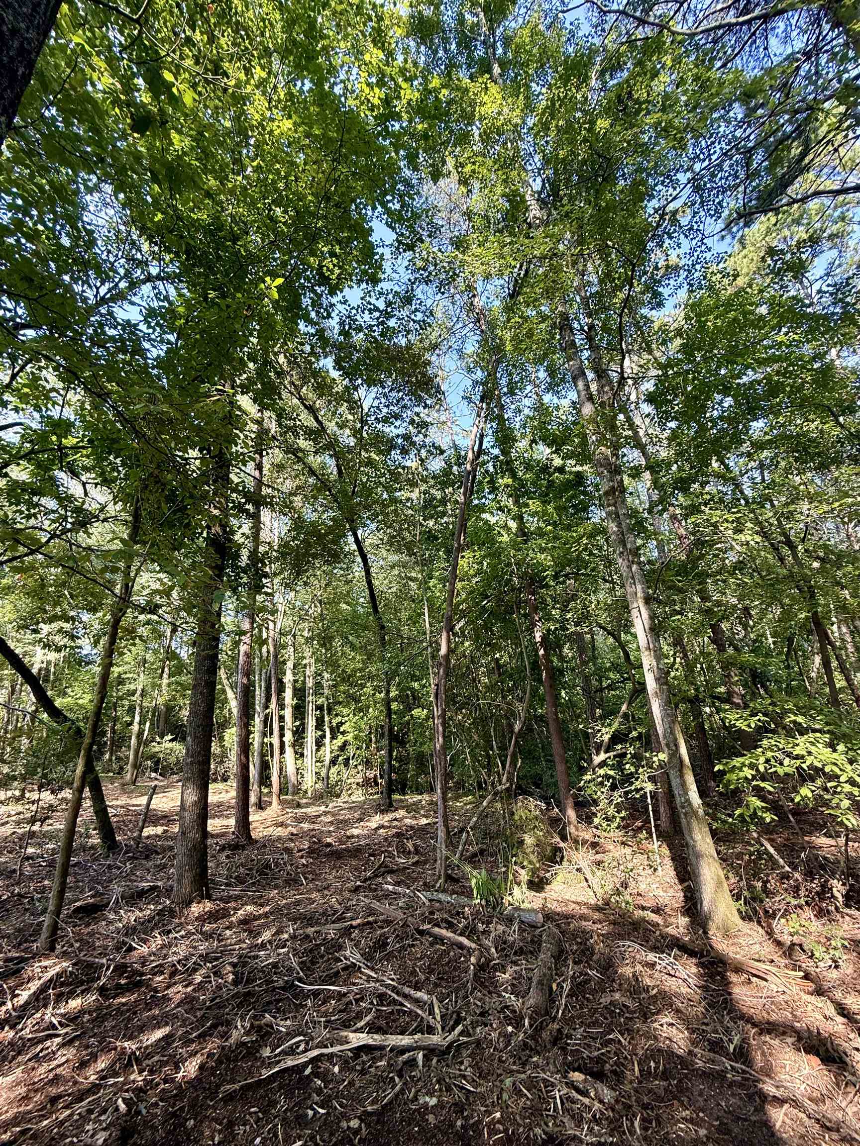 331982 Property Photo 12
