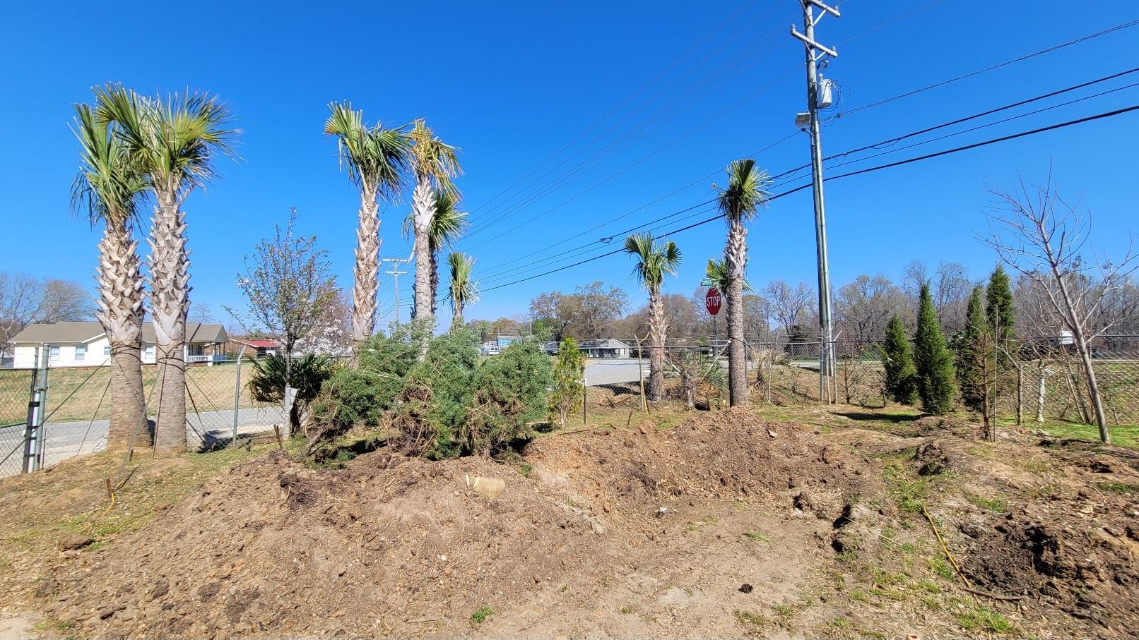 332084 Property Photo 21