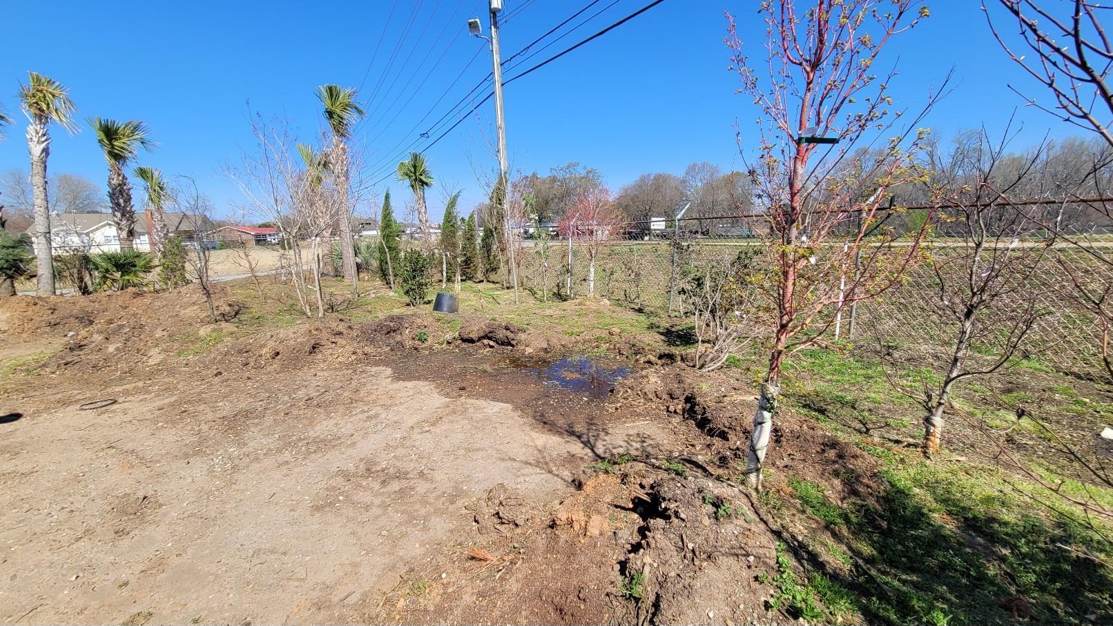 332084 Property Photo 22