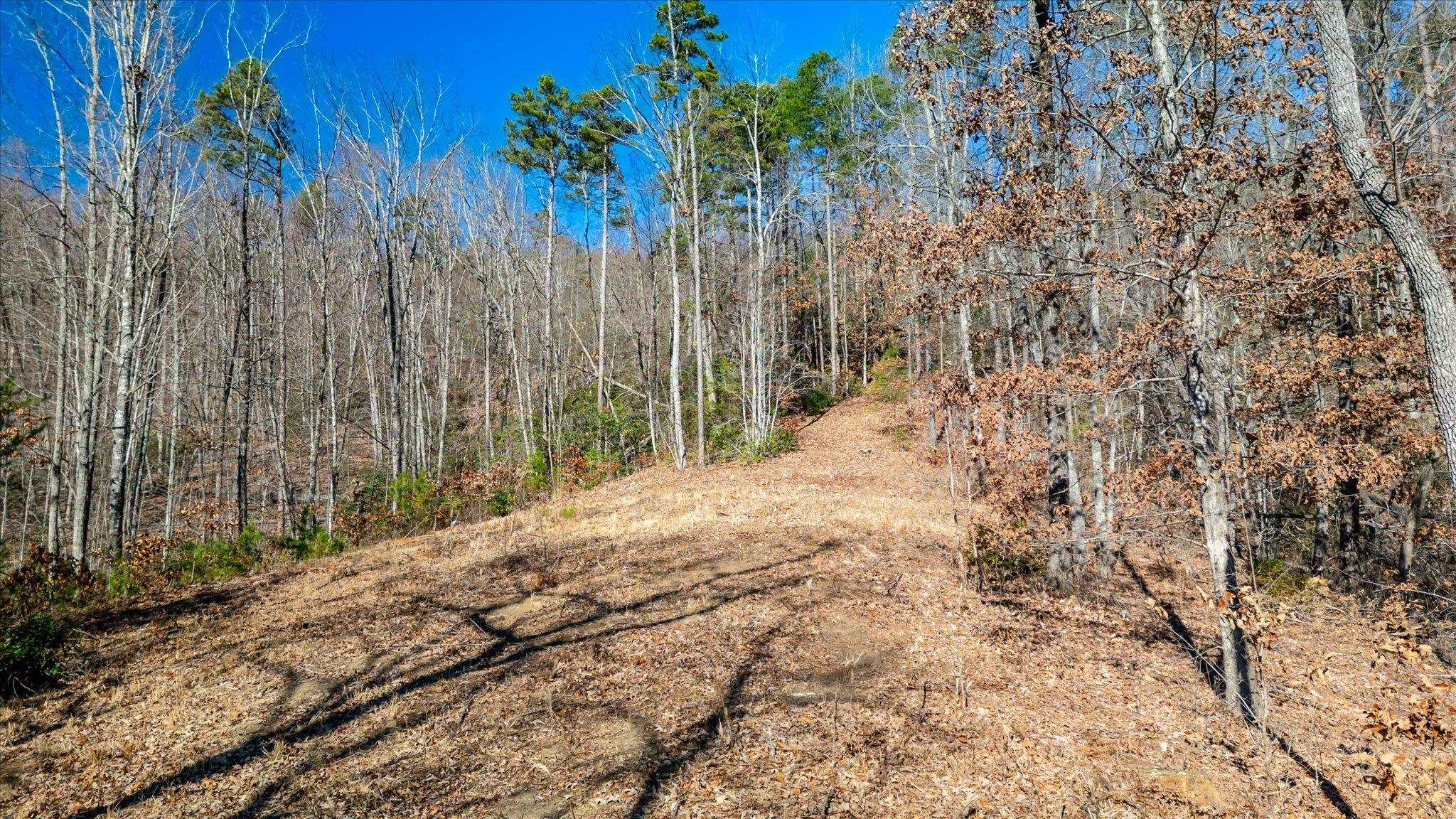 332192 Property Photo 3