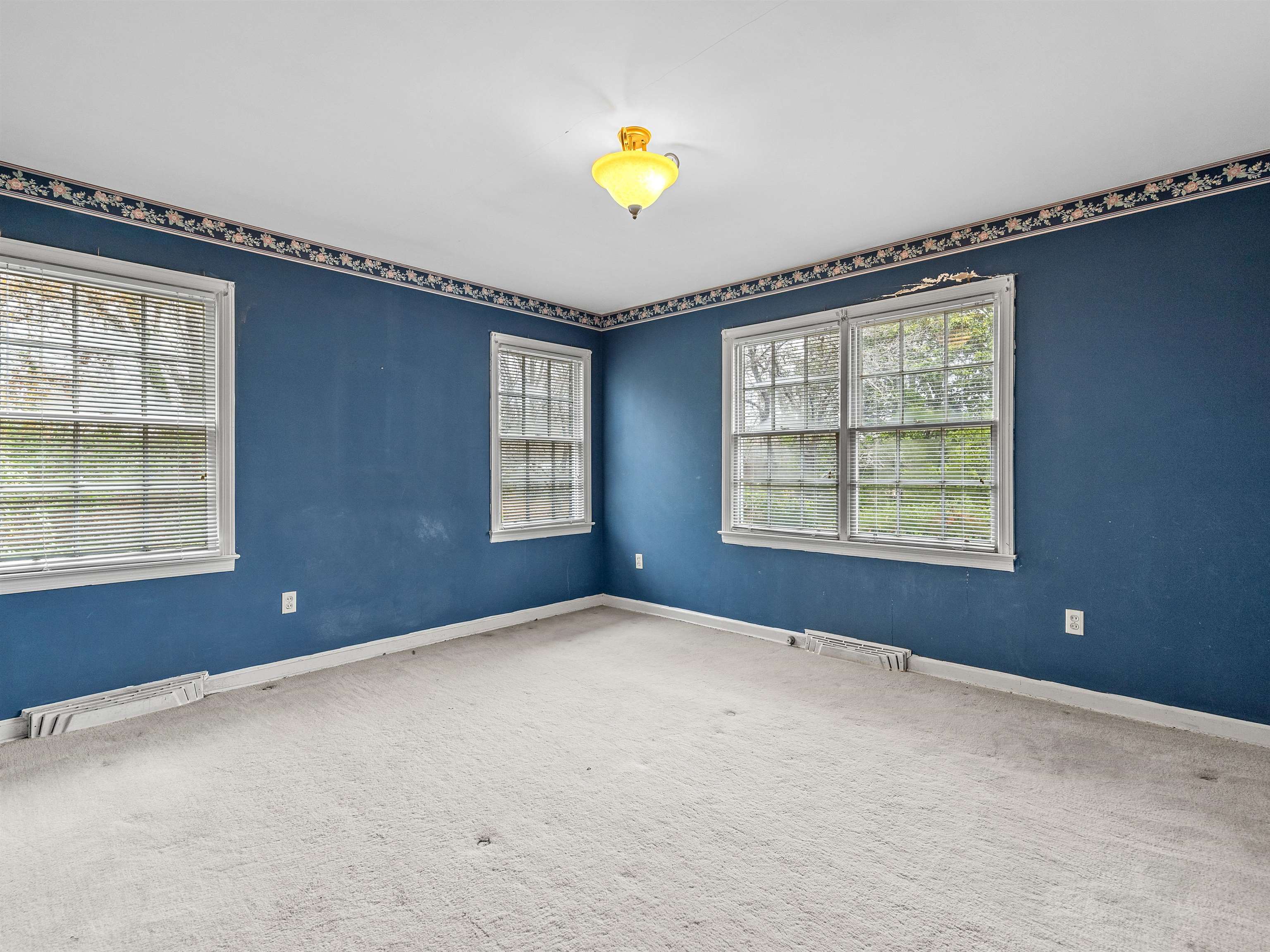 114 York Street Property Photo 21