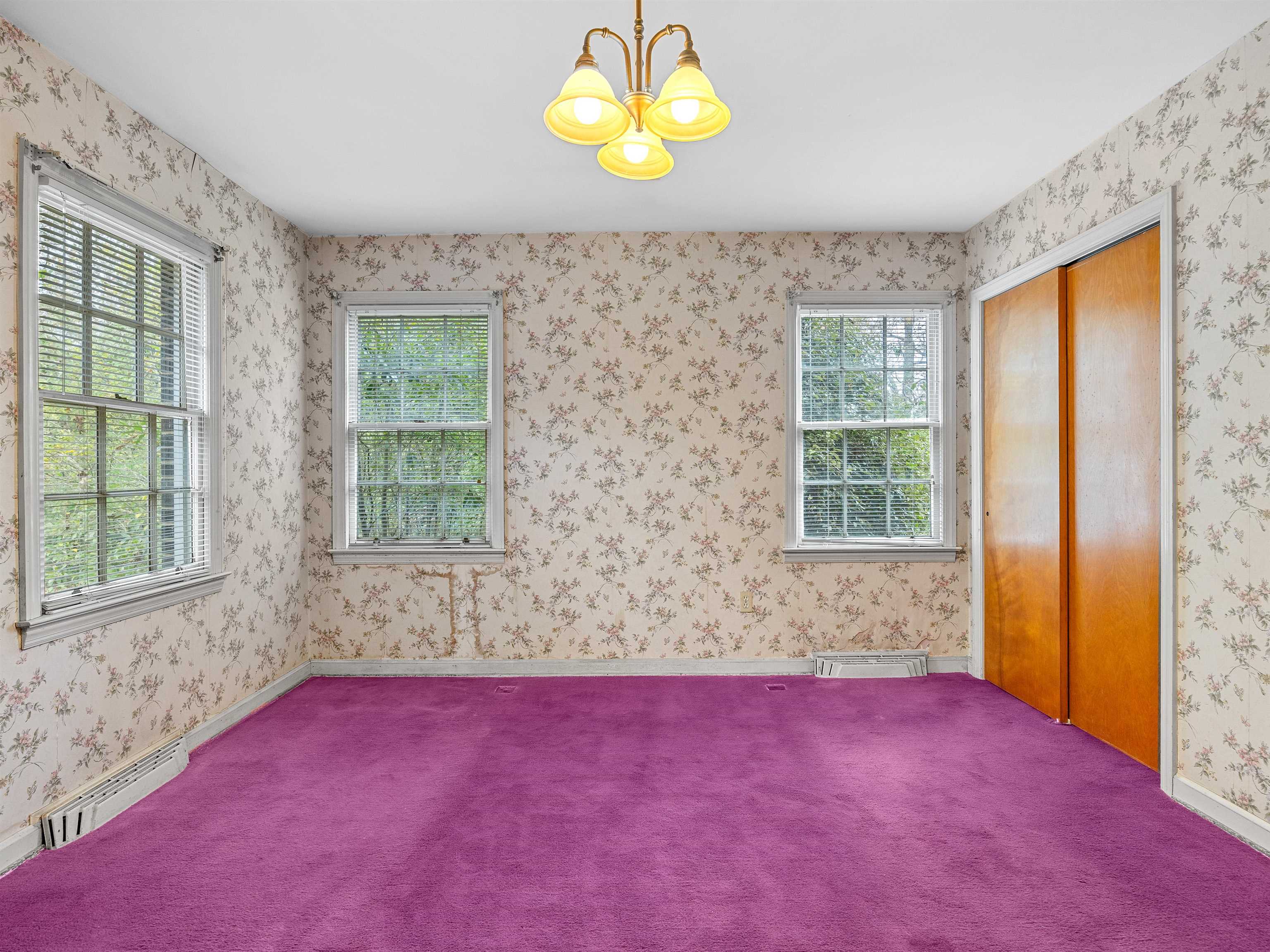 114 York Street Property Photo 23