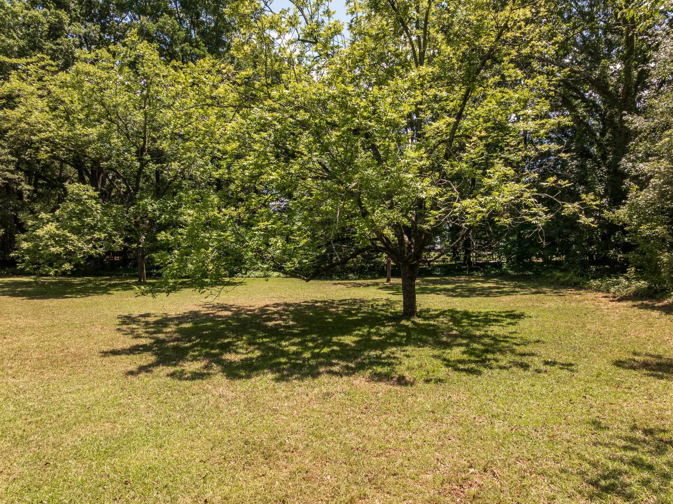114 York Street Property Photo 37