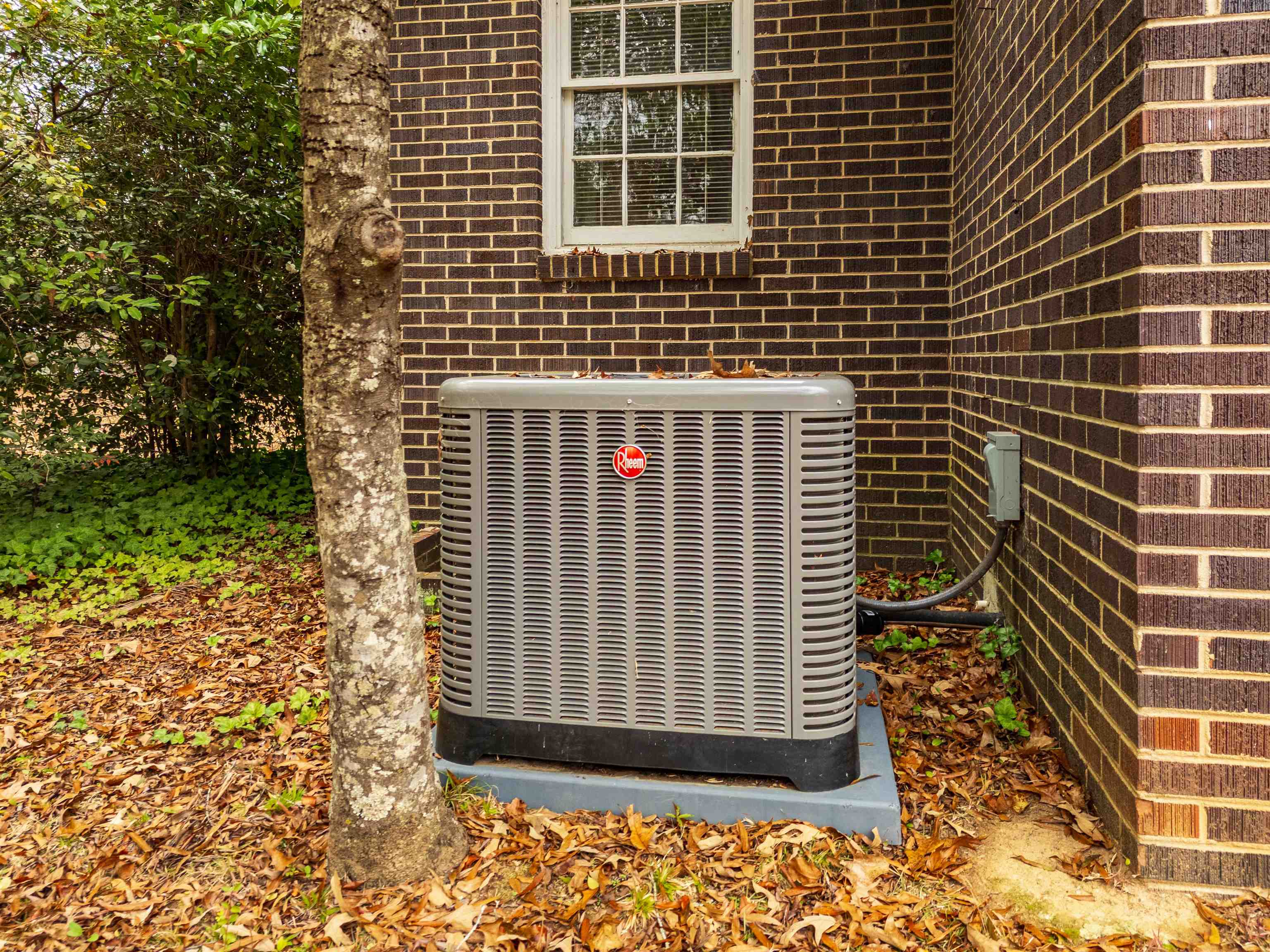 114 York Street Property Photo 42