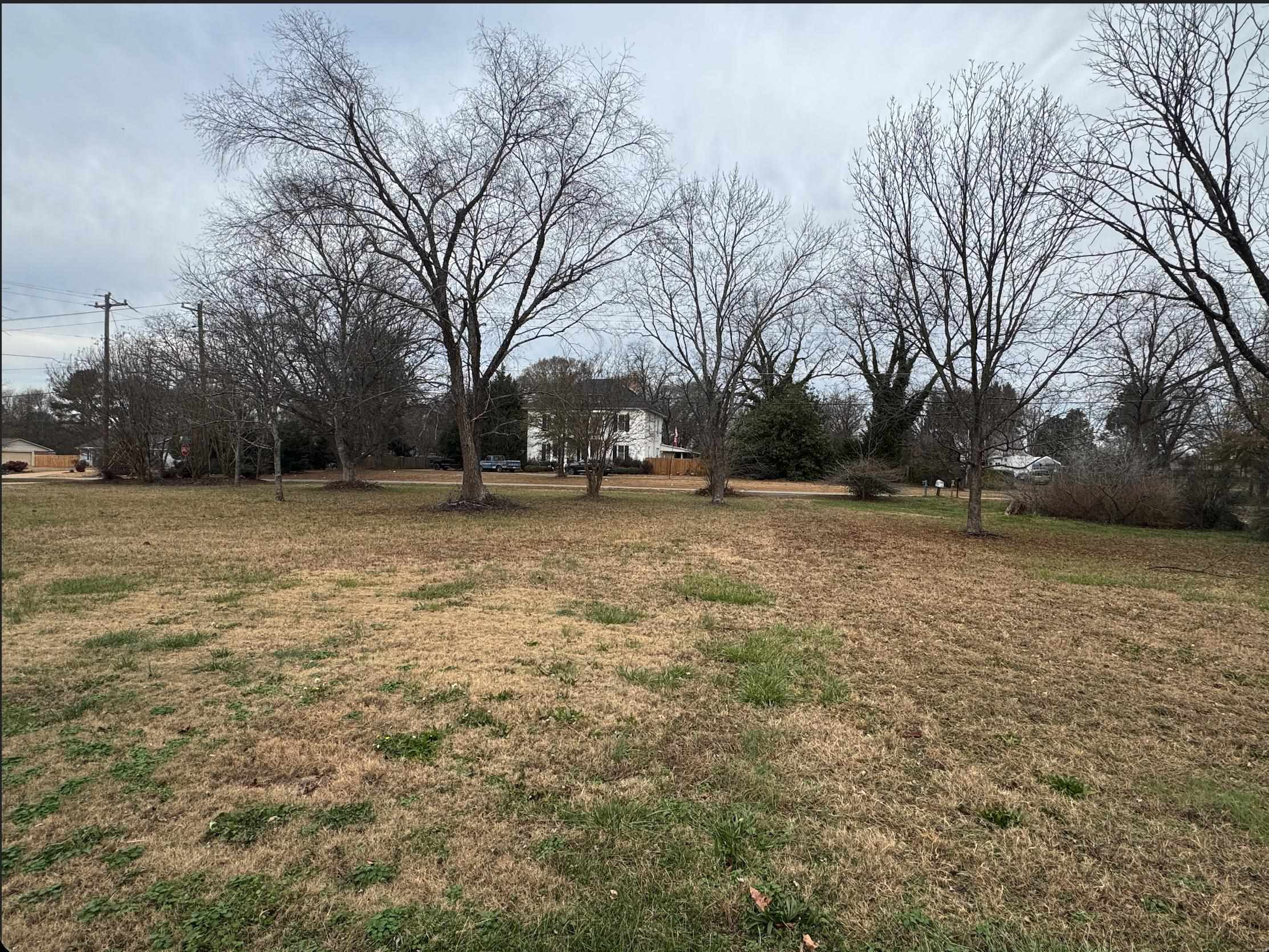 809 John Dodd Road Property Photo 4
