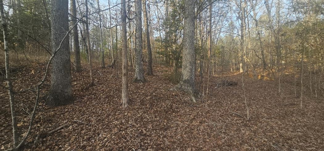 332874 Property Photo 6