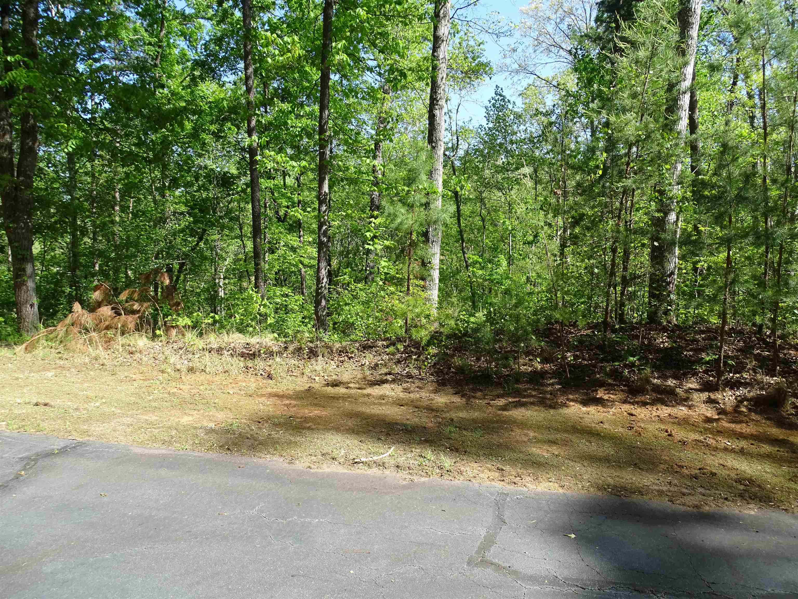 333030 Property Photo 6