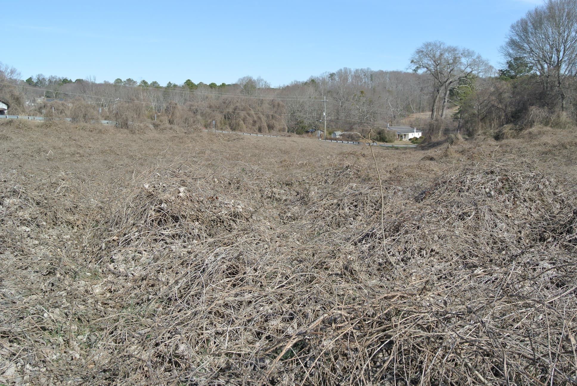 333119 Property Photo 8