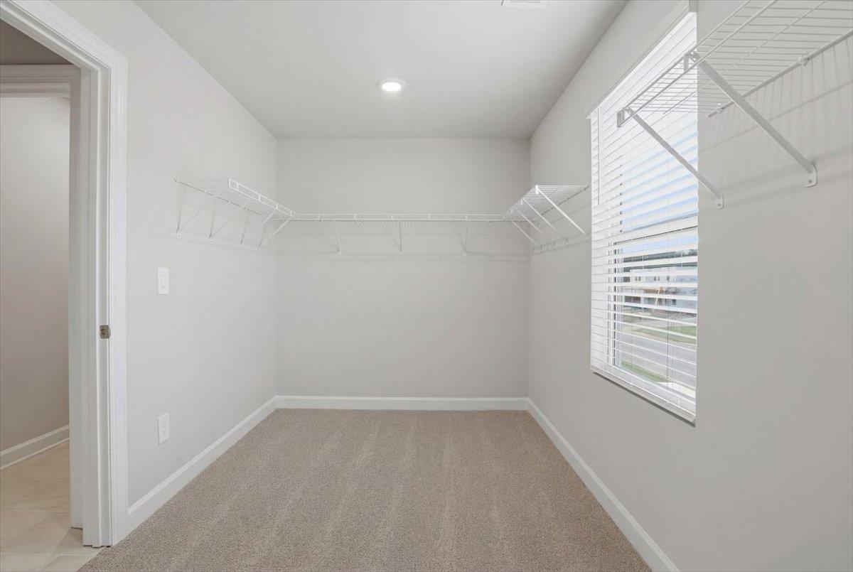 1548 Switchback Circle Property Photo 23