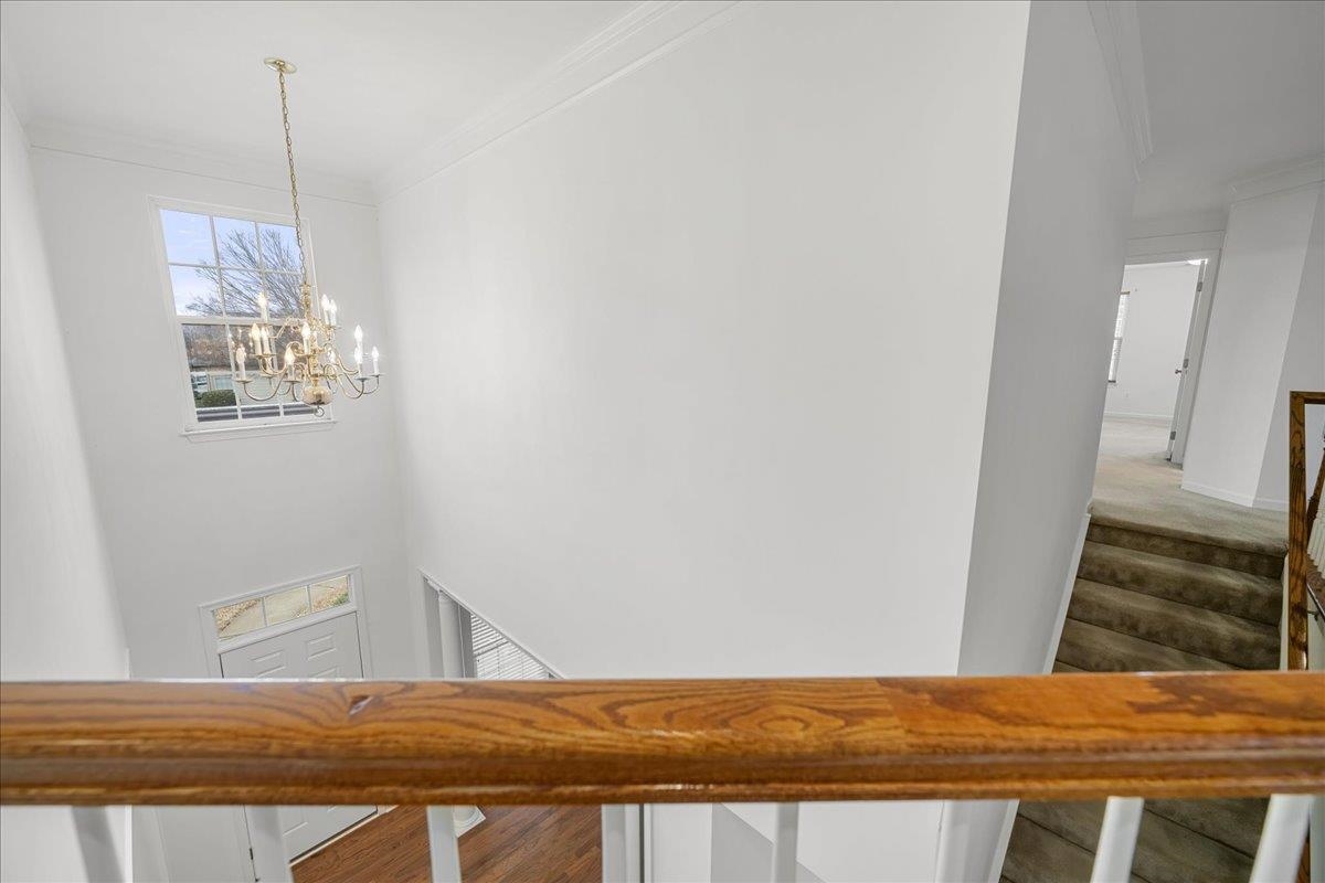 200 Stonebury Drive Property Photo 34