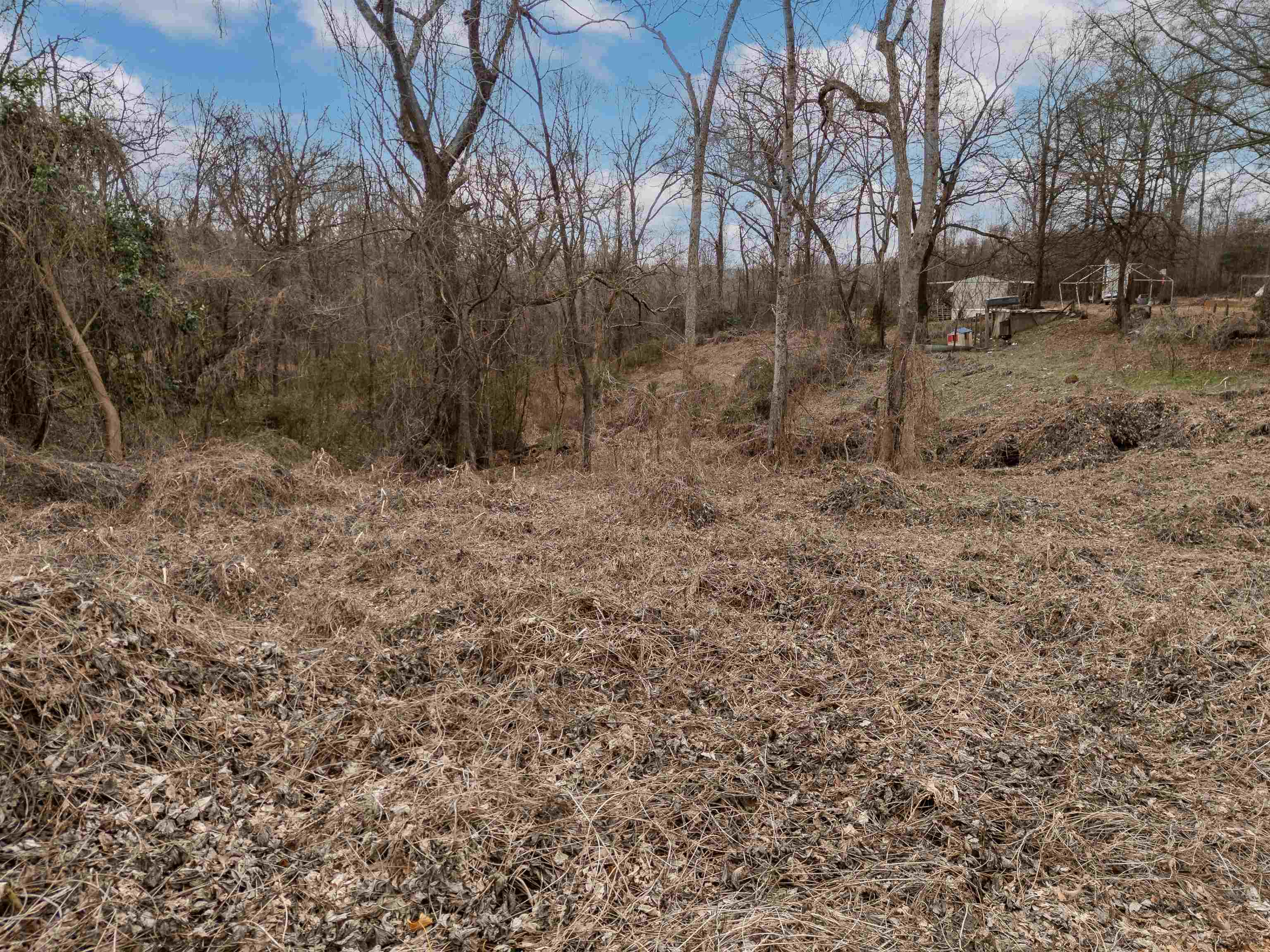 333405 Property Photo 7