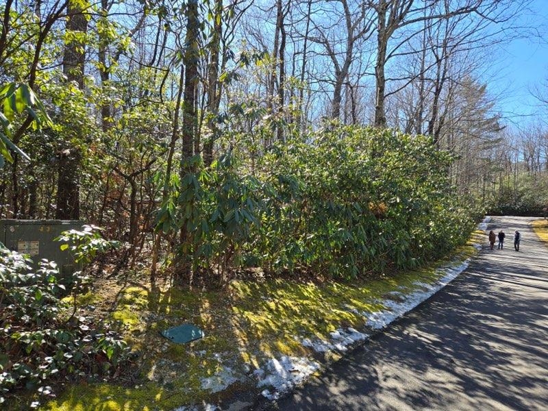 333484 Property Photo 3