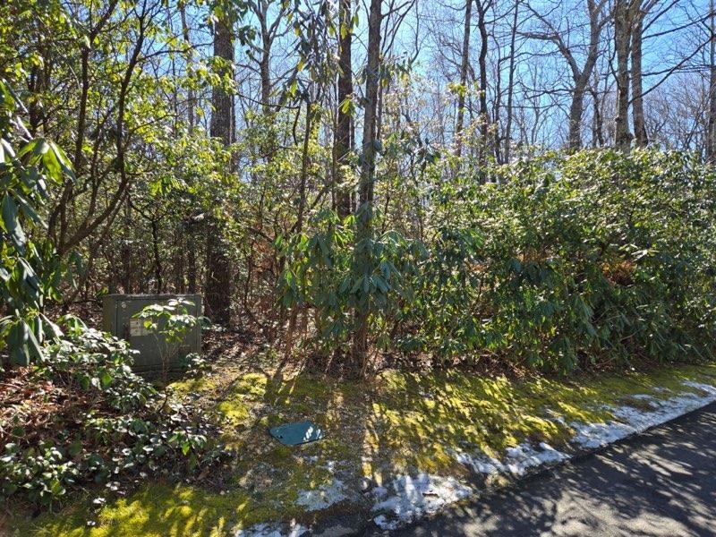 333484 Property Photo 4