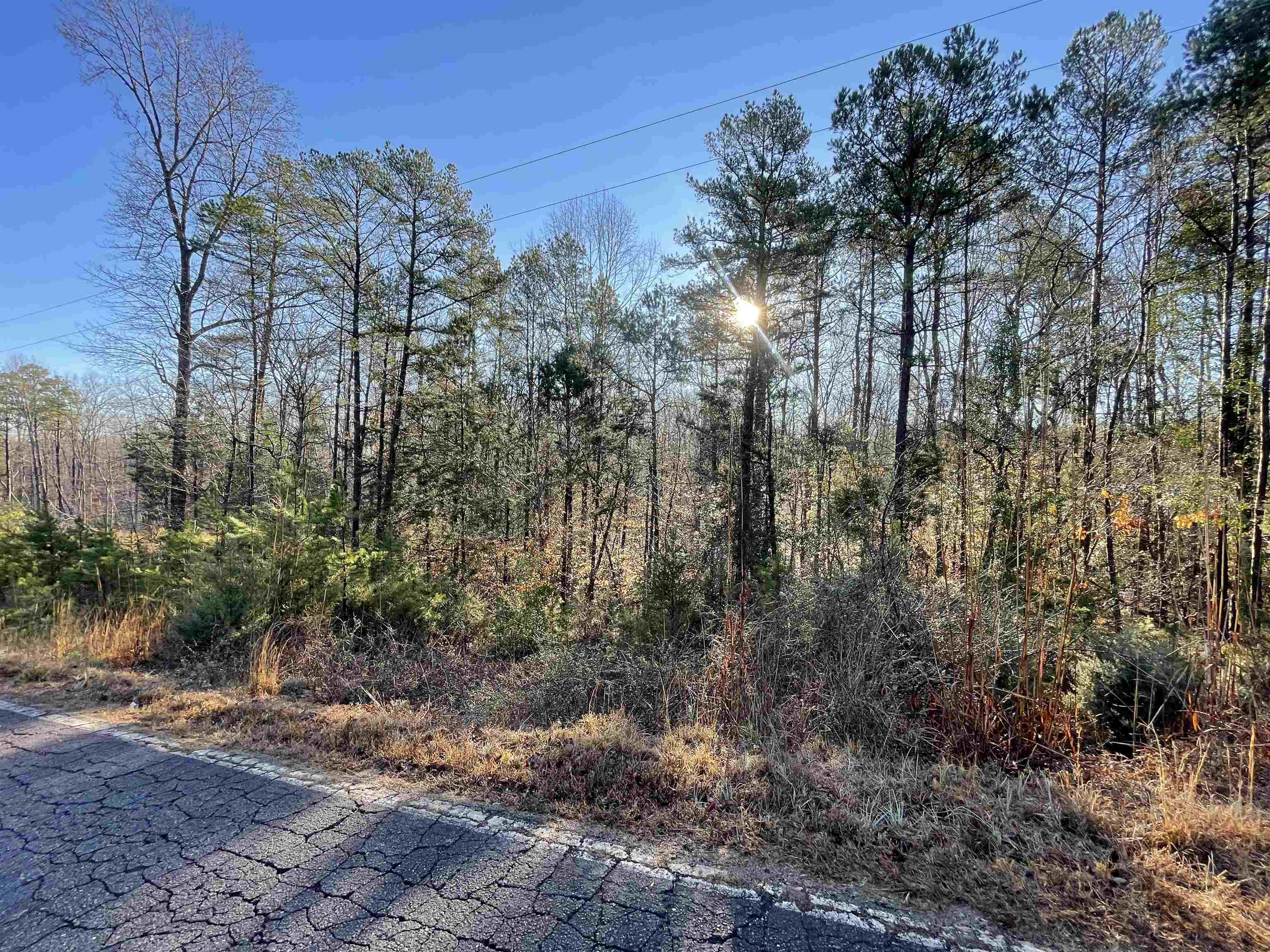 333613 Property Photo 1