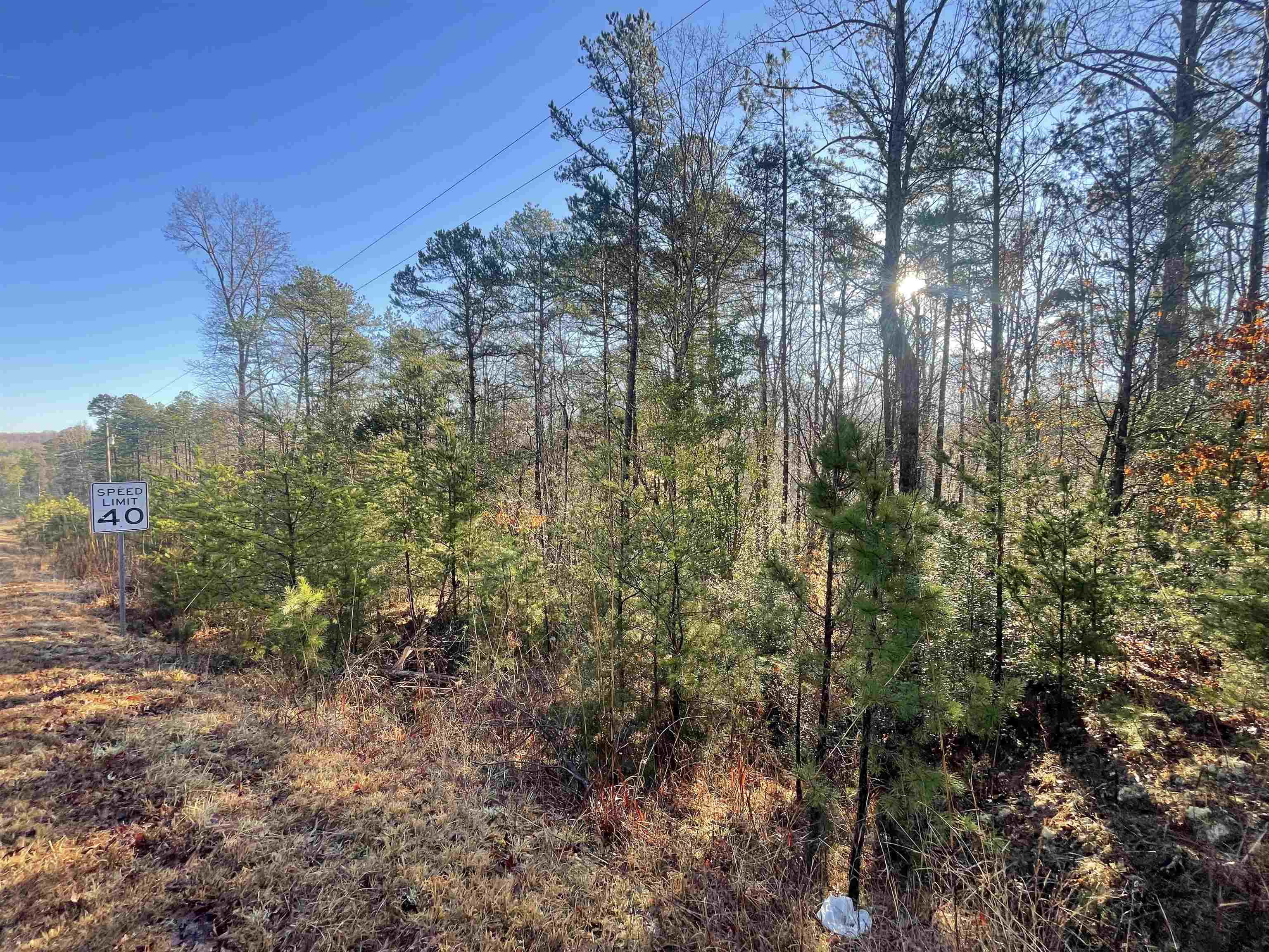 333613 Property Photo 3