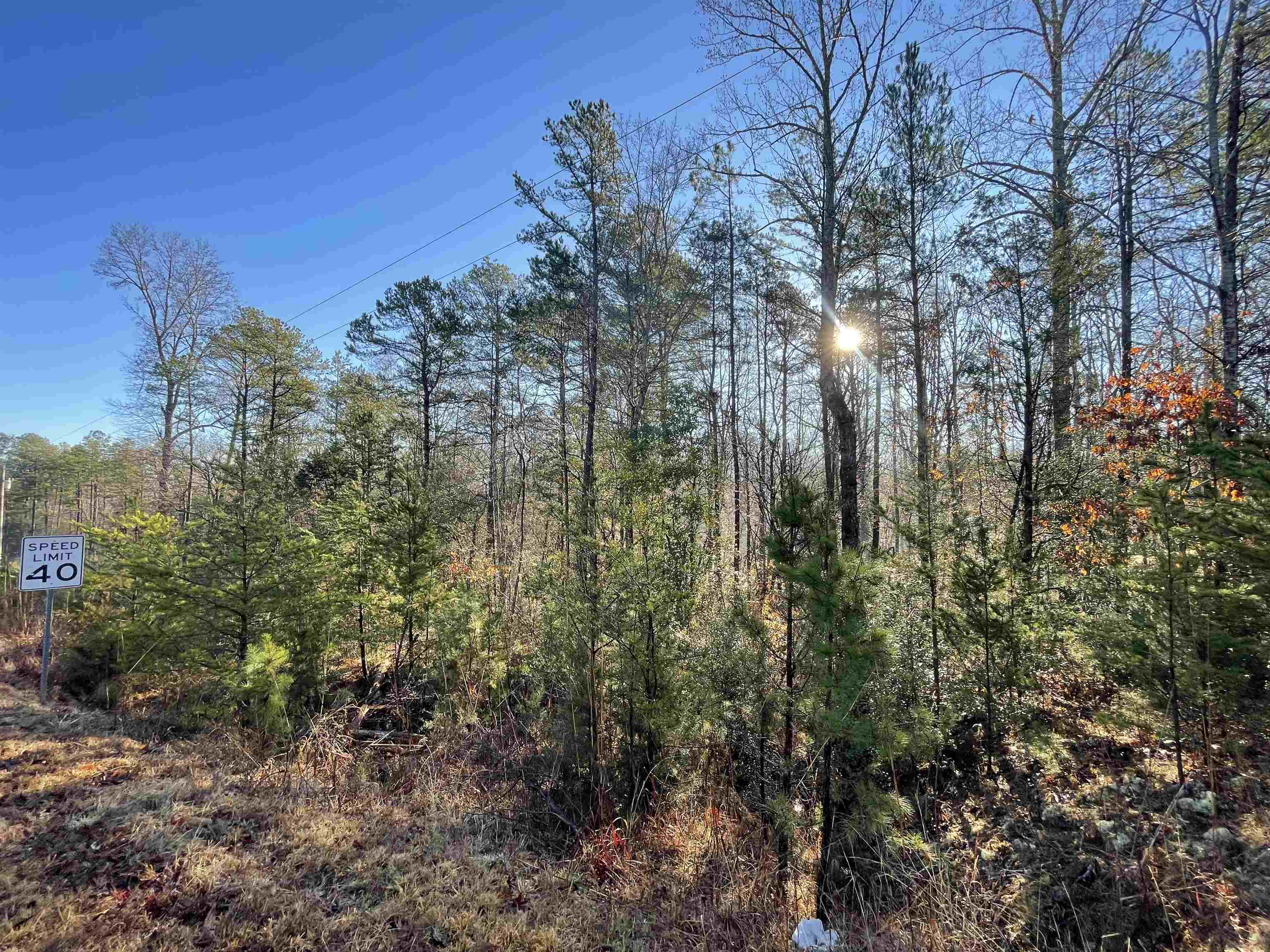 333613 Property Photo 5