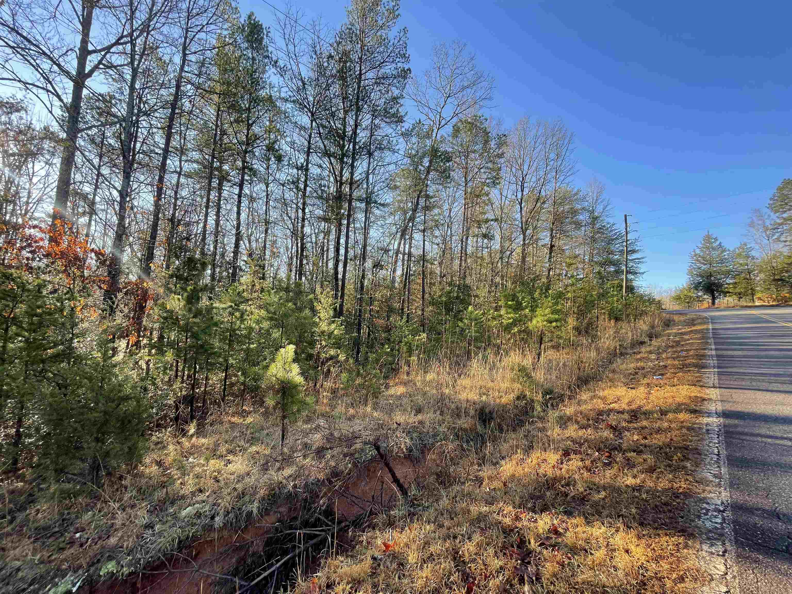 333613 Property Photo 6