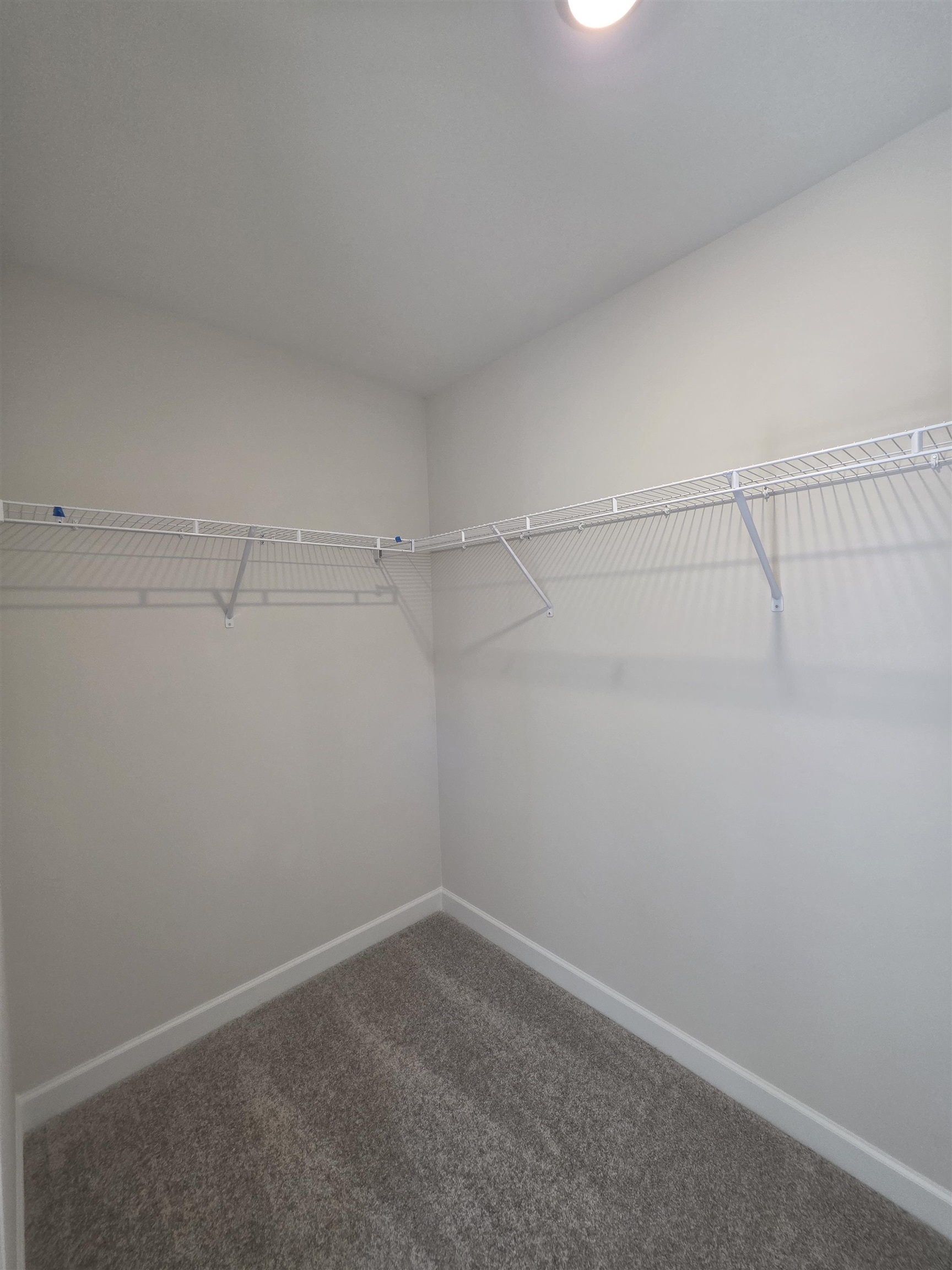 2061 Emily Margaret Road Property Photo 26