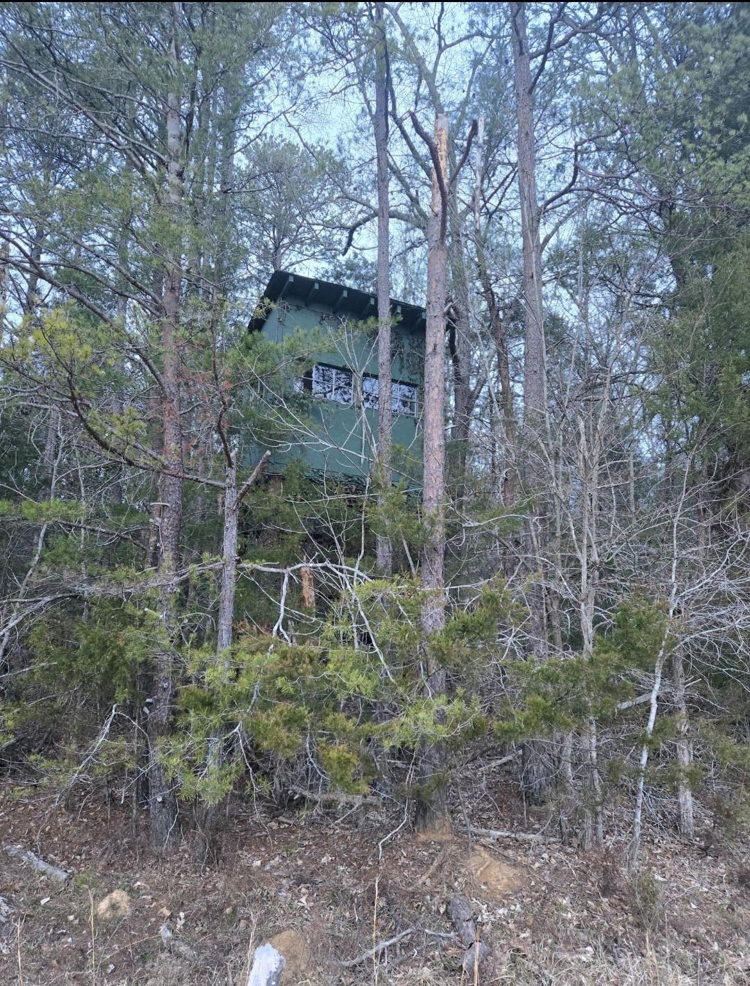 333861 Property Photo 4