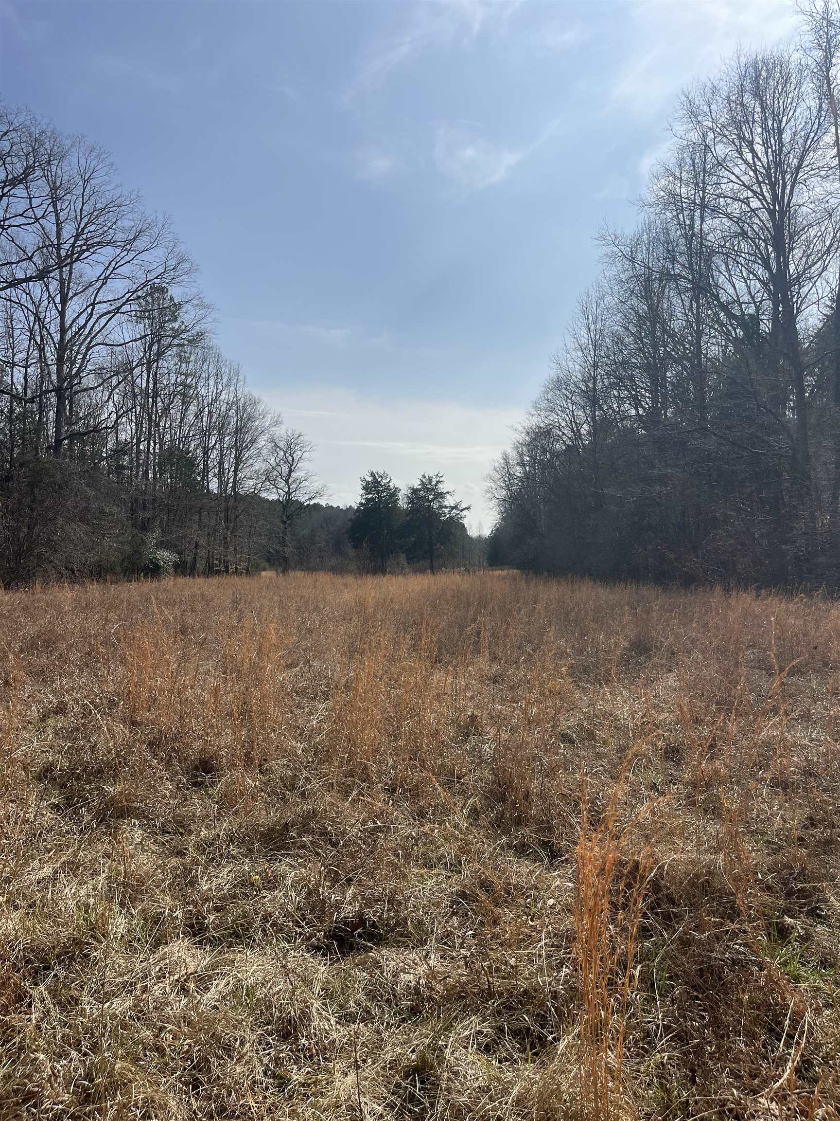 333861 Property Photo 5