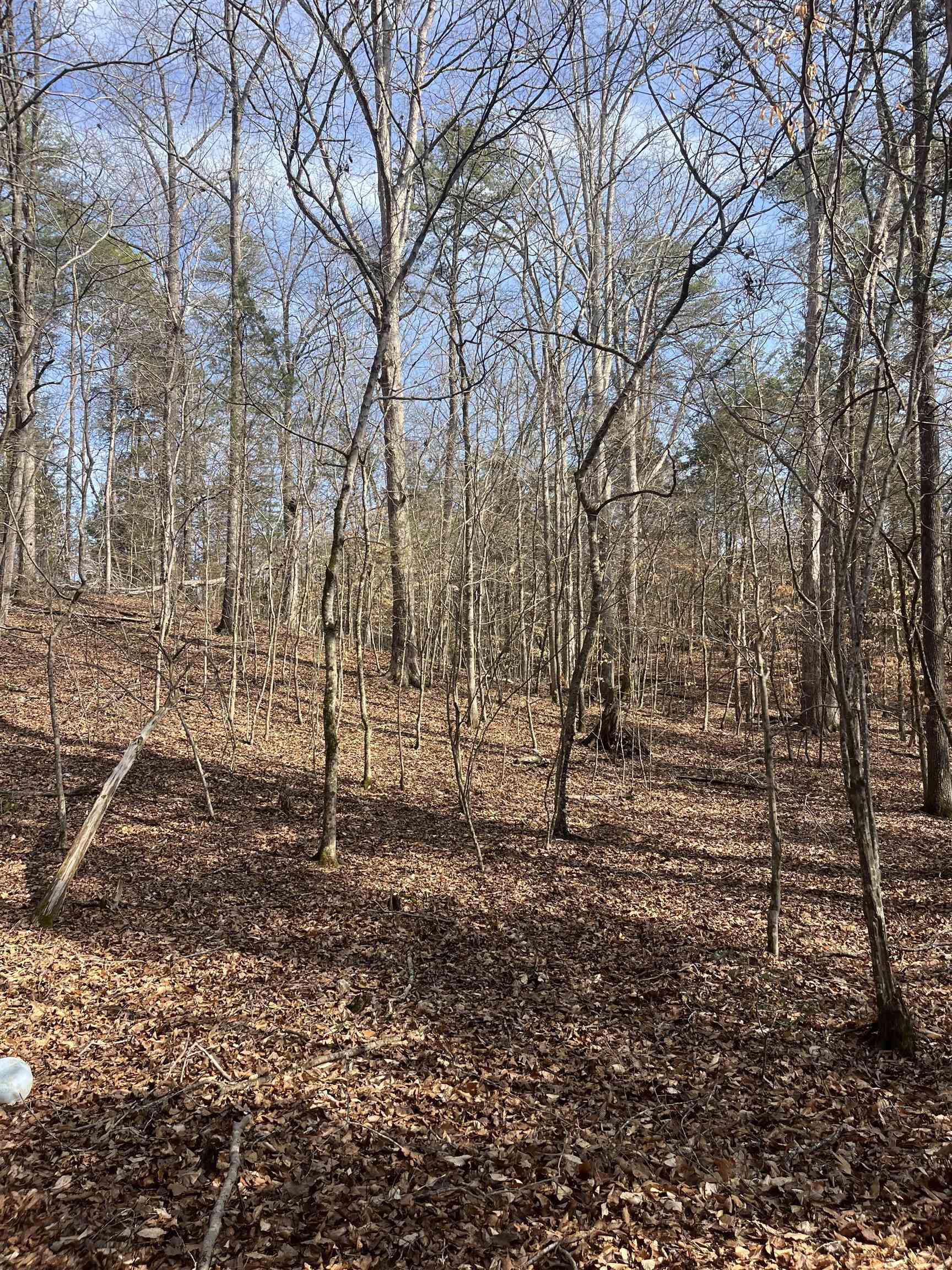 333861 Property Photo 6