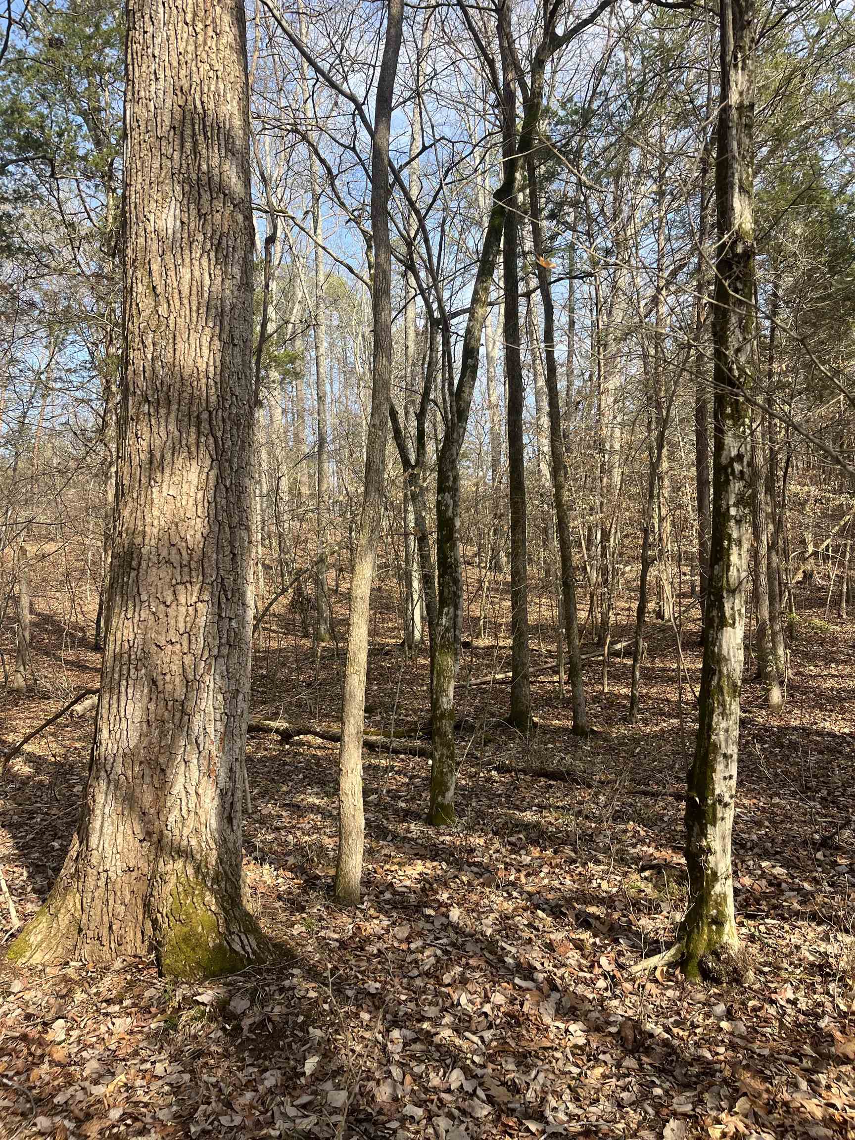 333861 Property Photo 10