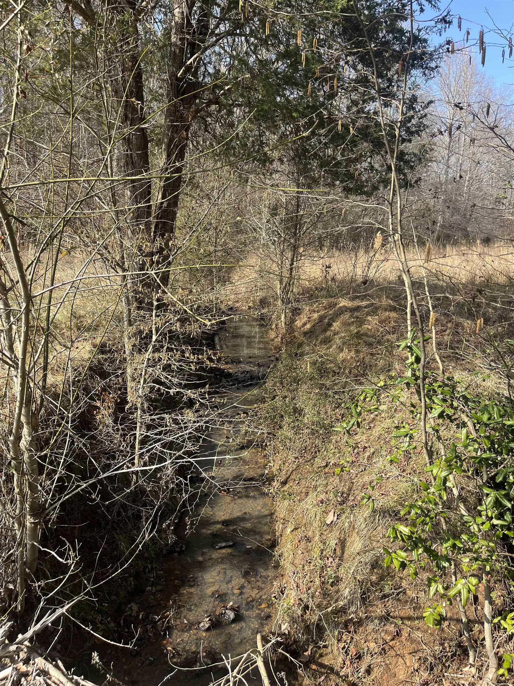 333861 Property Photo 11