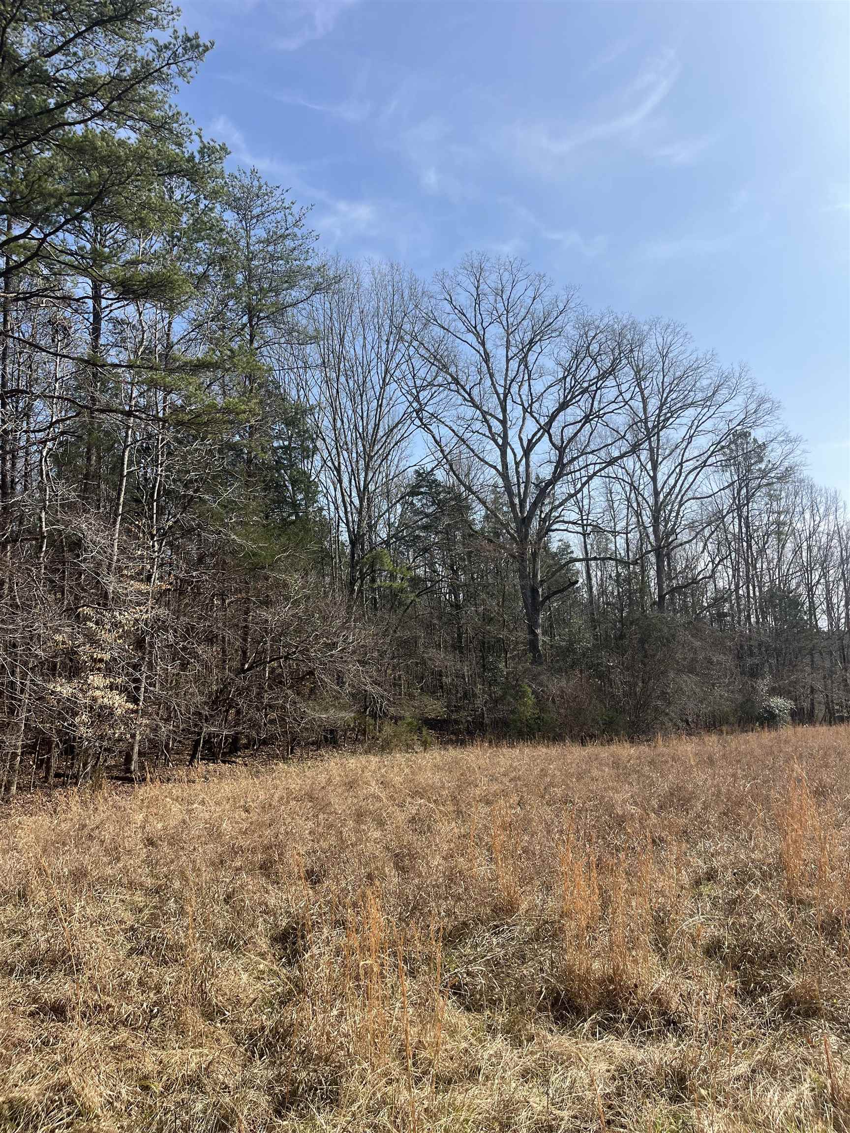 333861 Property Photo 12