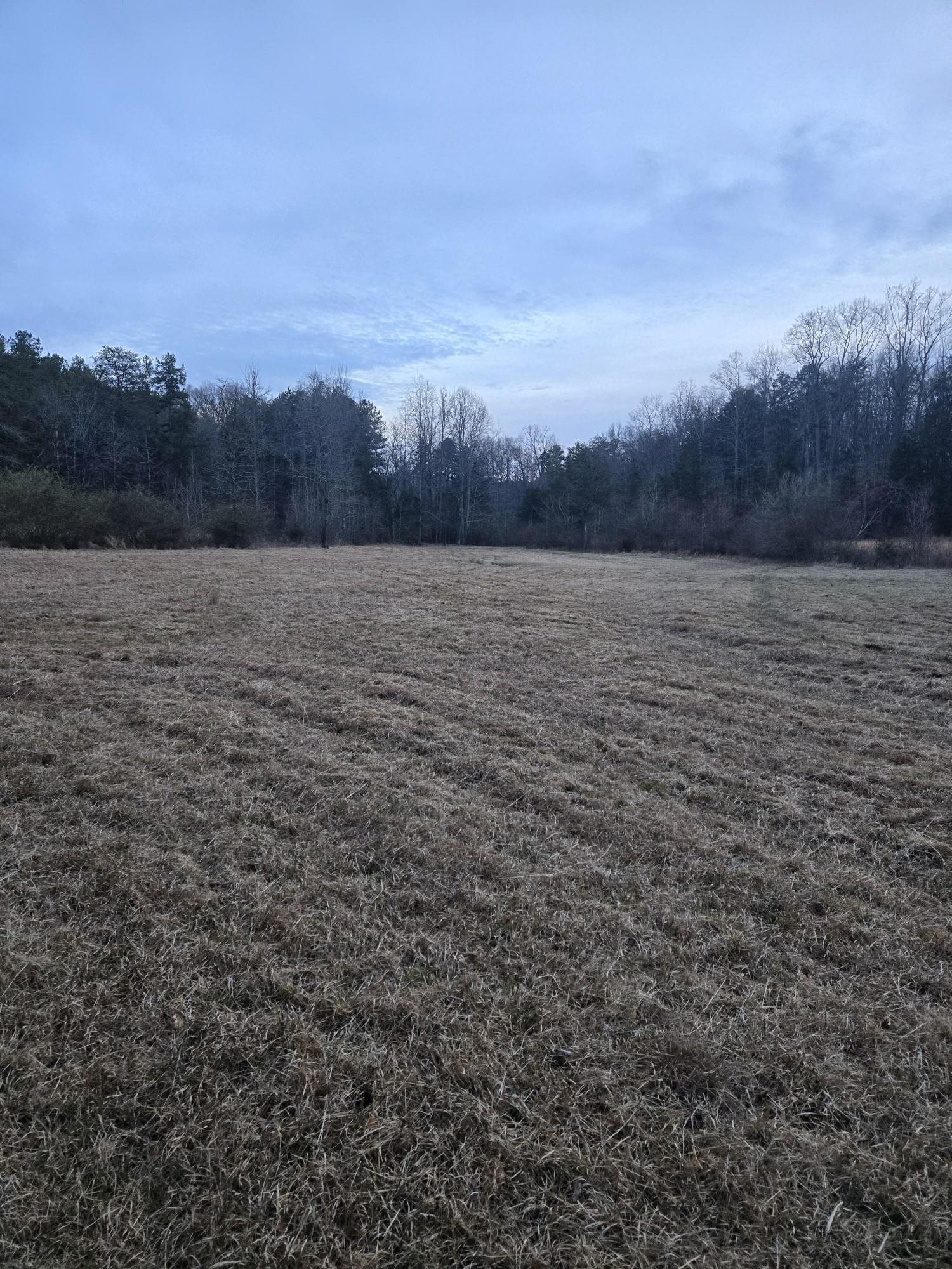 333861 Property Photo 14