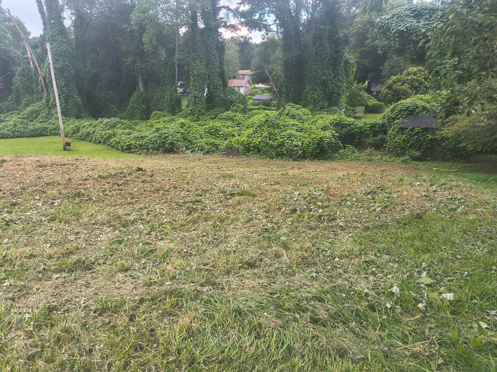 334086 Property Photo 2