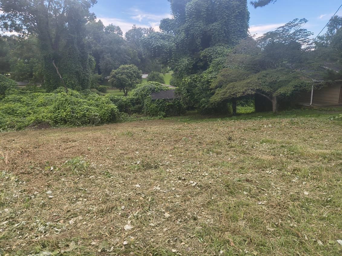 334086 Property Photo 5
