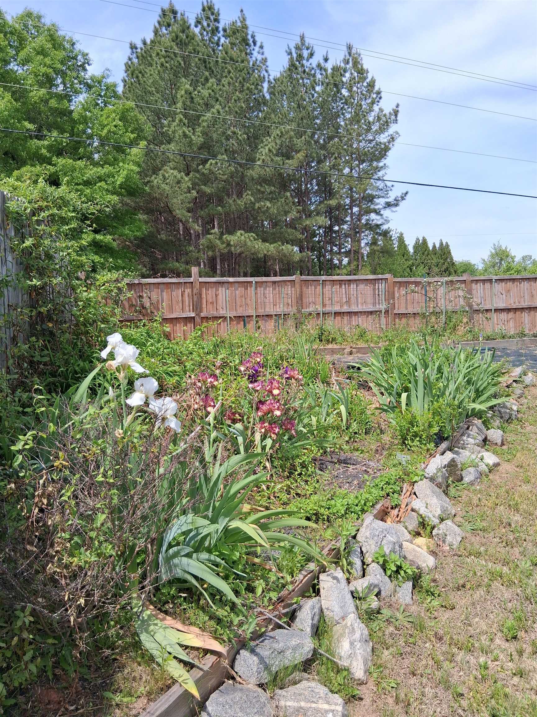 581 Friar Park Lane Property Photo 34