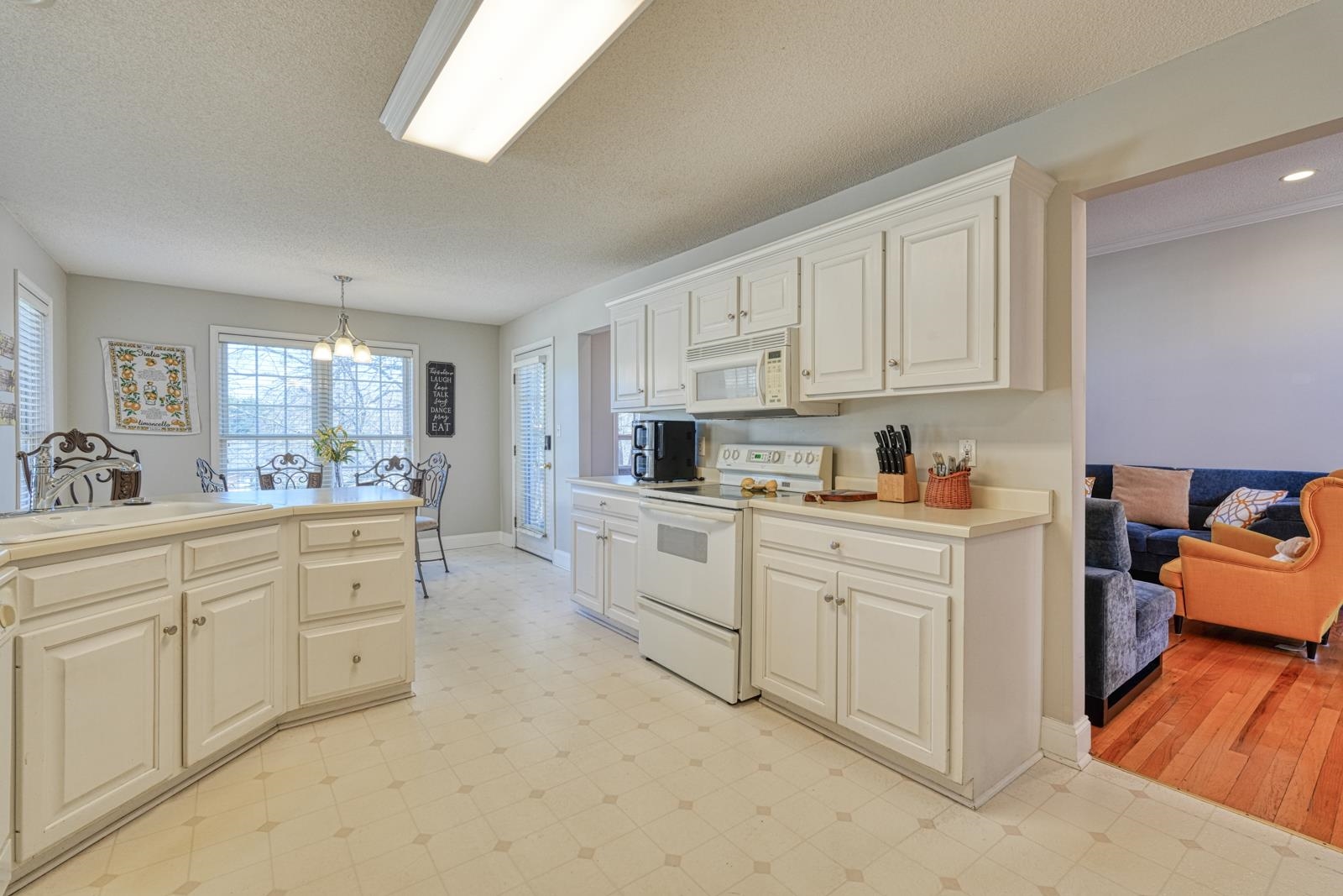 227 Saddlebrook Drive Property Photo 22