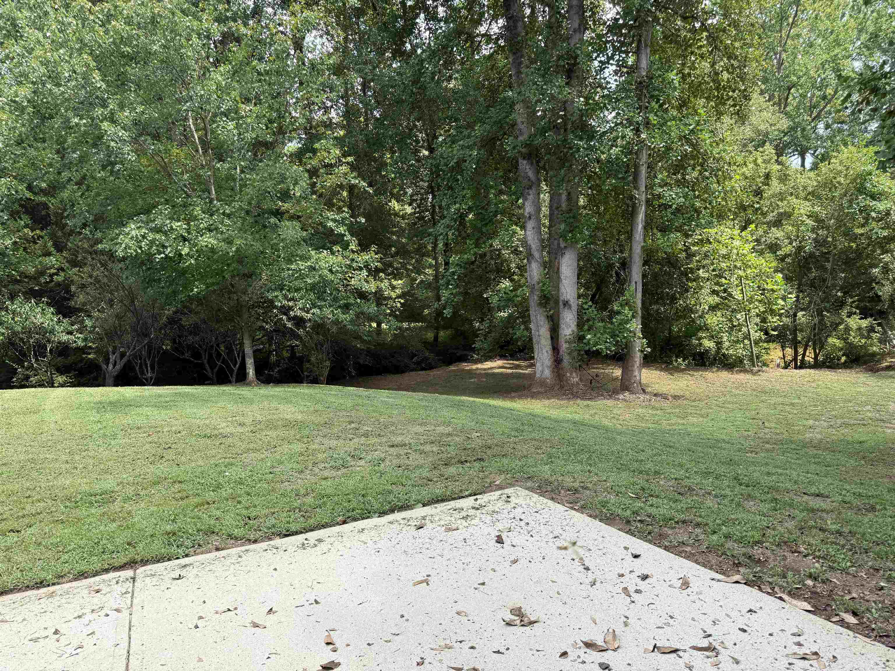252 Cedar Bluff Drive Property Photo 48