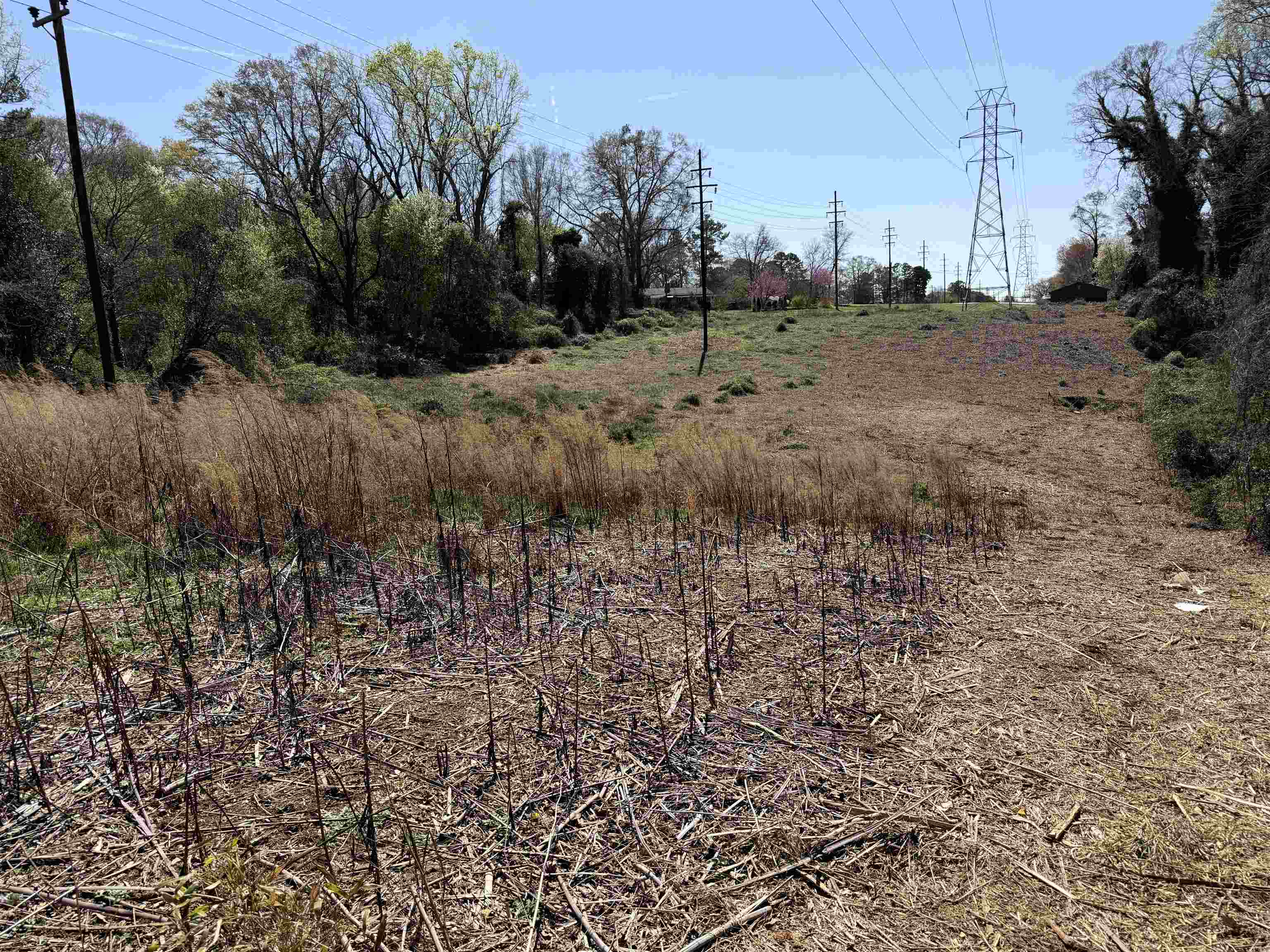 334620 Property Photo 4