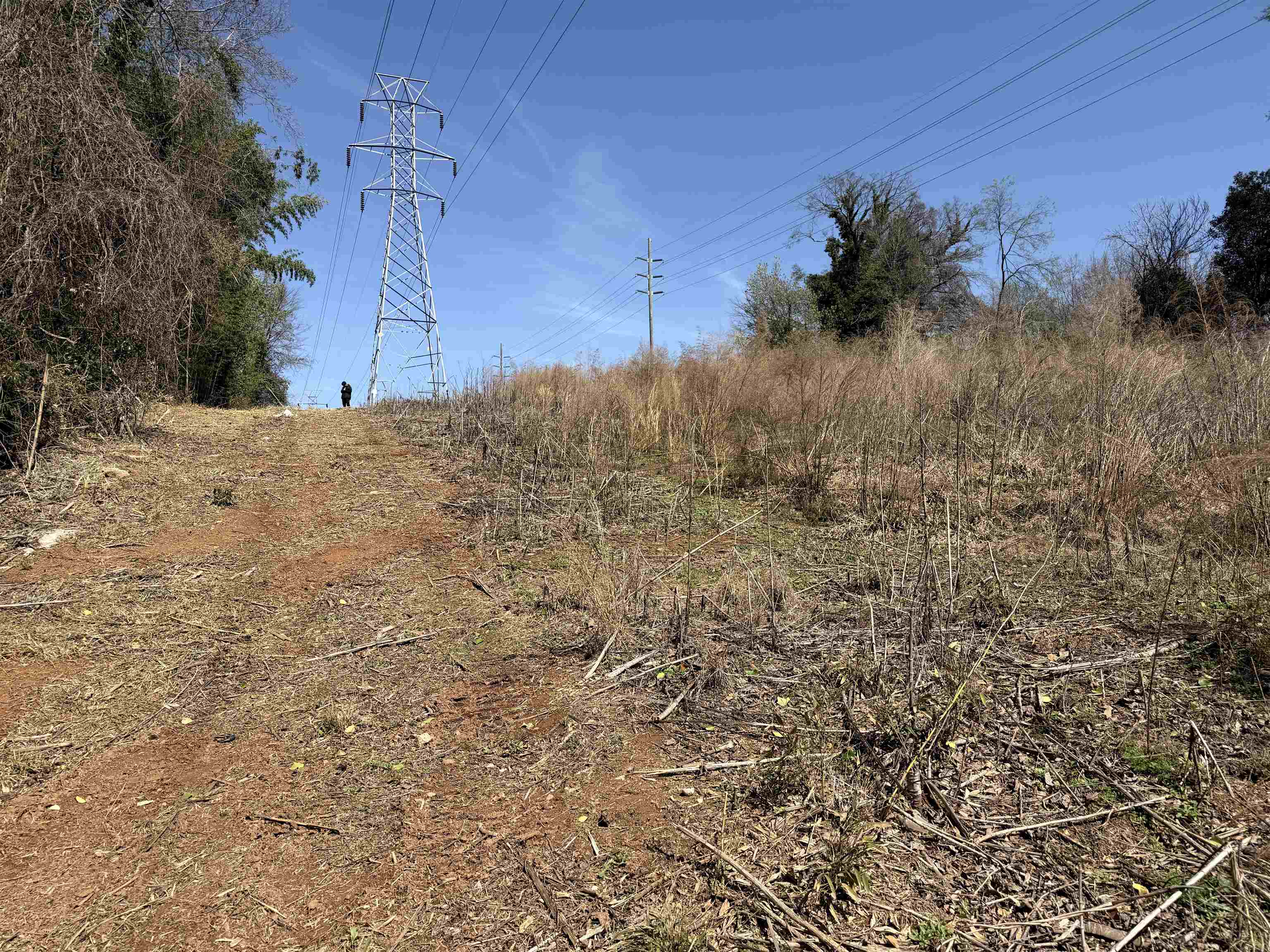 334620 Property Photo 5