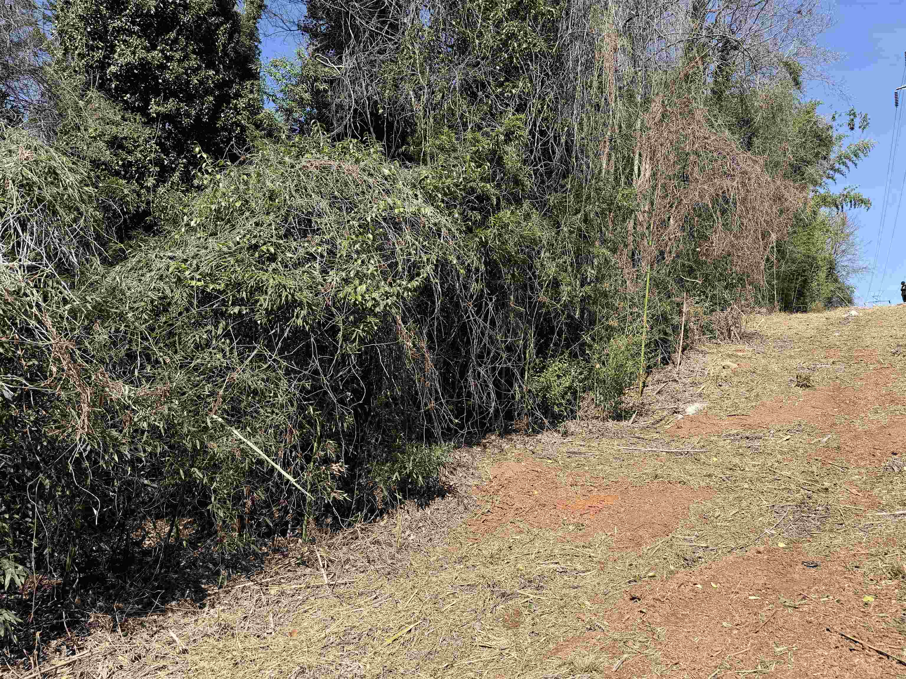 334620 Property Photo 7