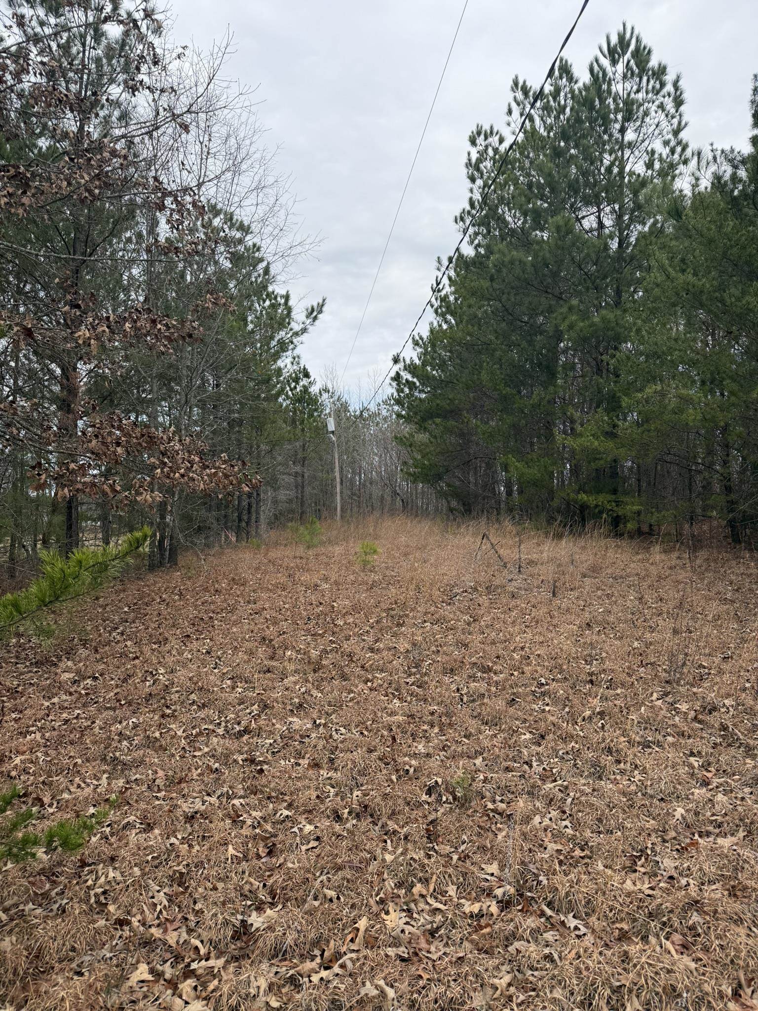 334624 Property Photo 5