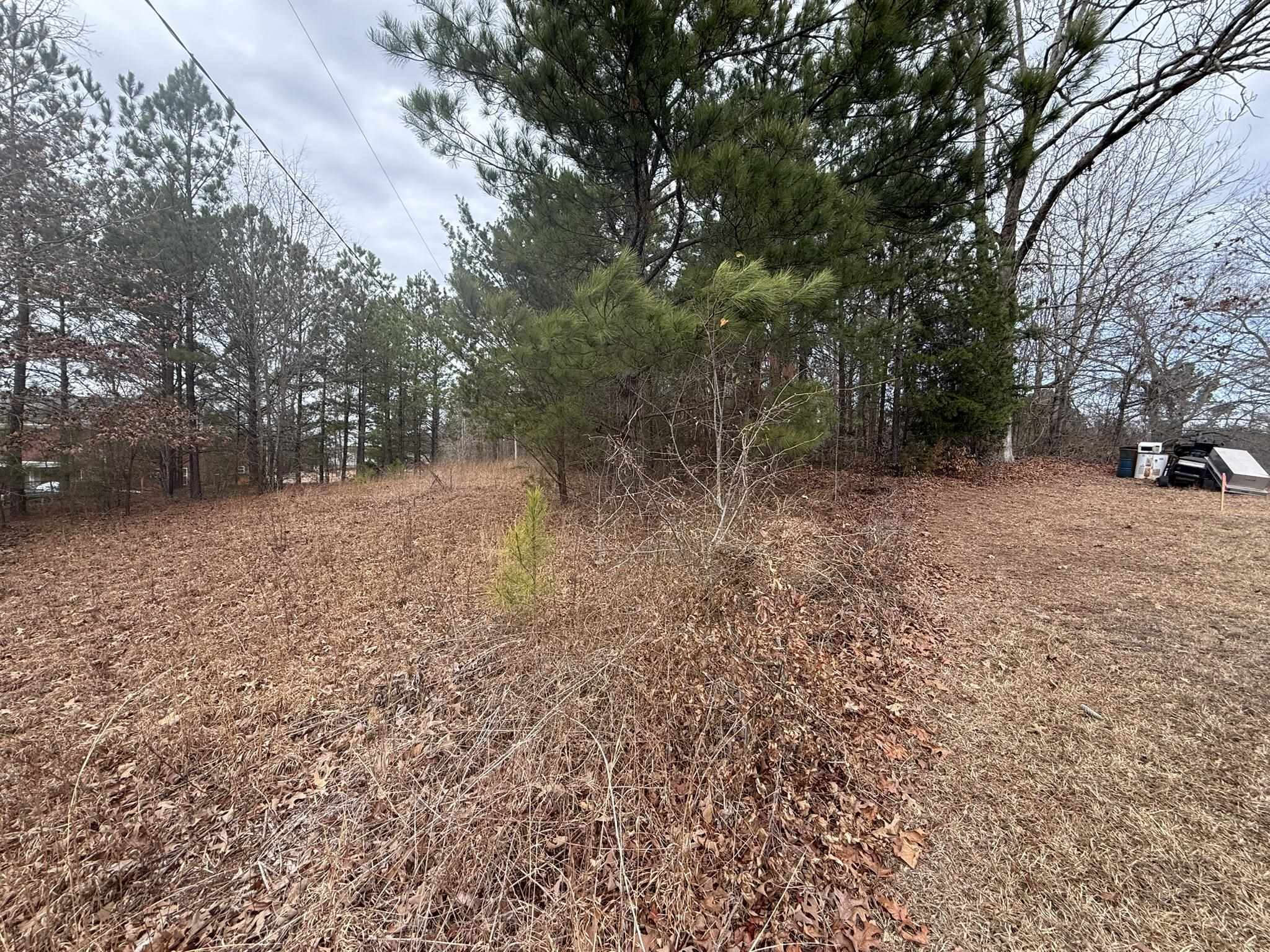 334624 Property Photo 6
