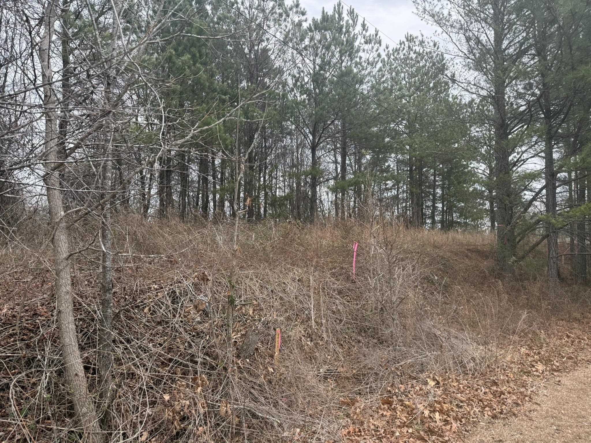 334624 Property Photo 9