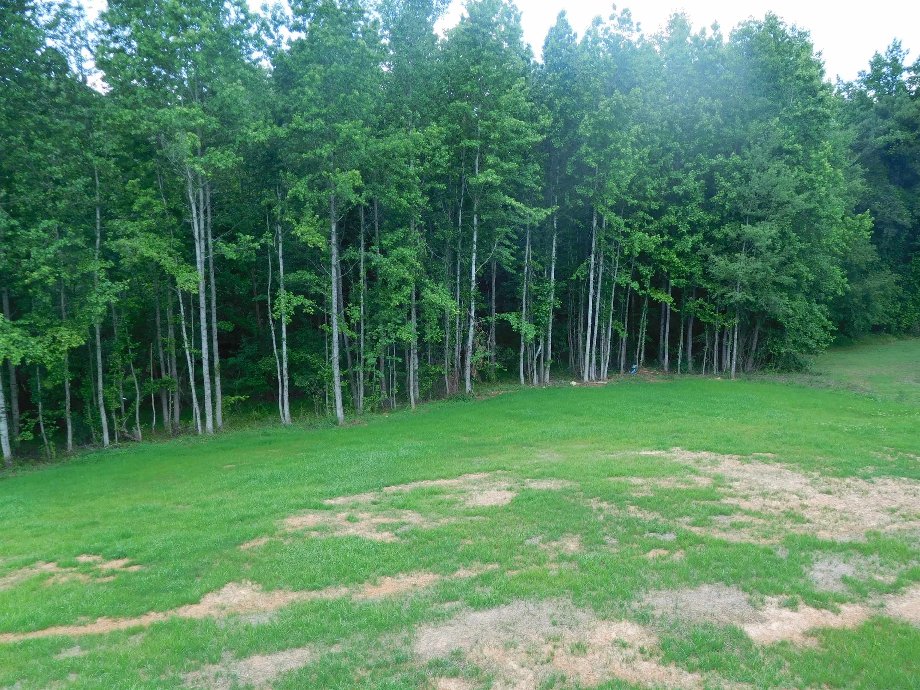 147 Mccoy Circle Circle Property Photo 15