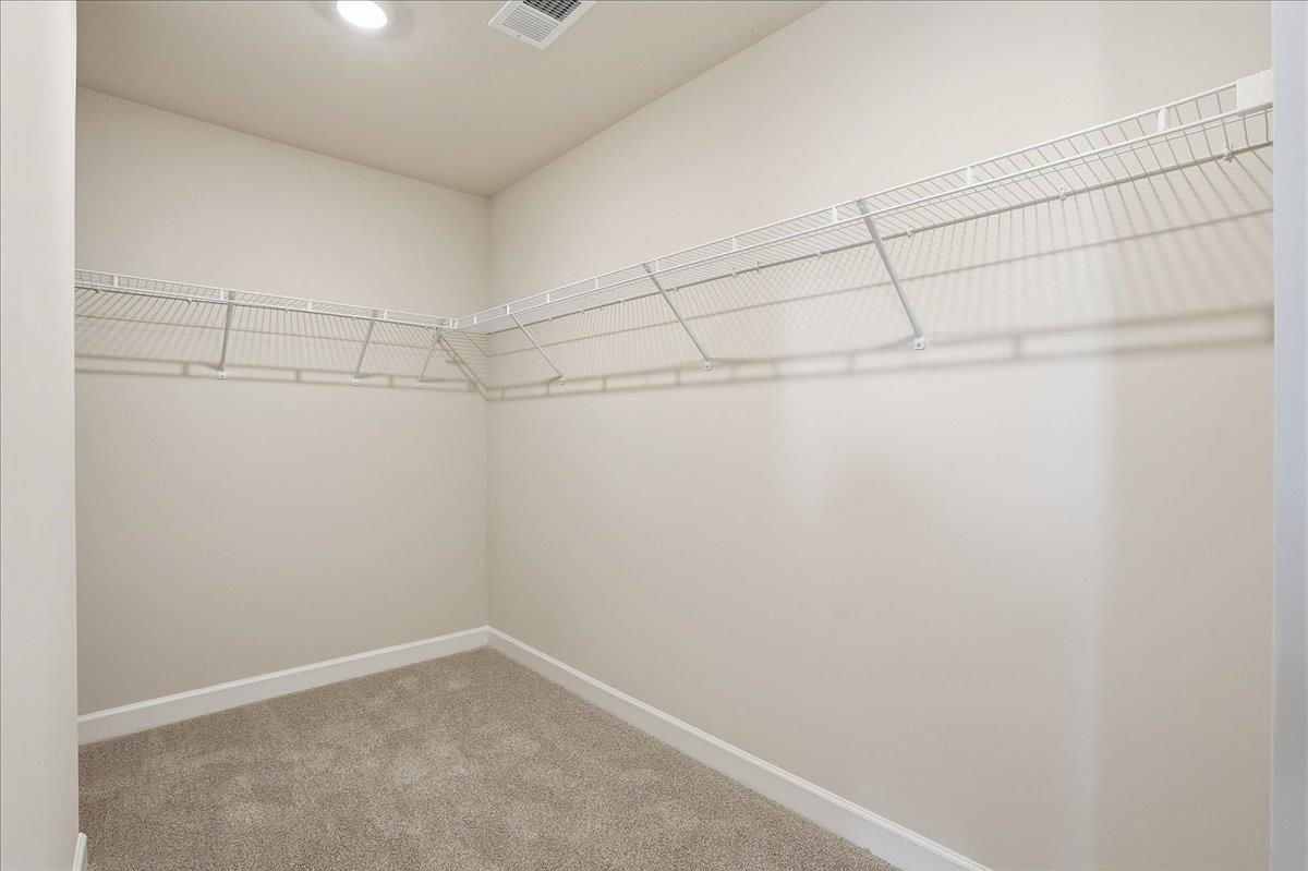 301 Shortleaf Lane Property Photo 28