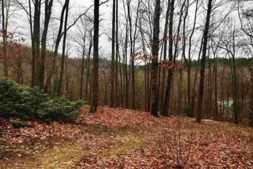 334910 Property Photo 1
