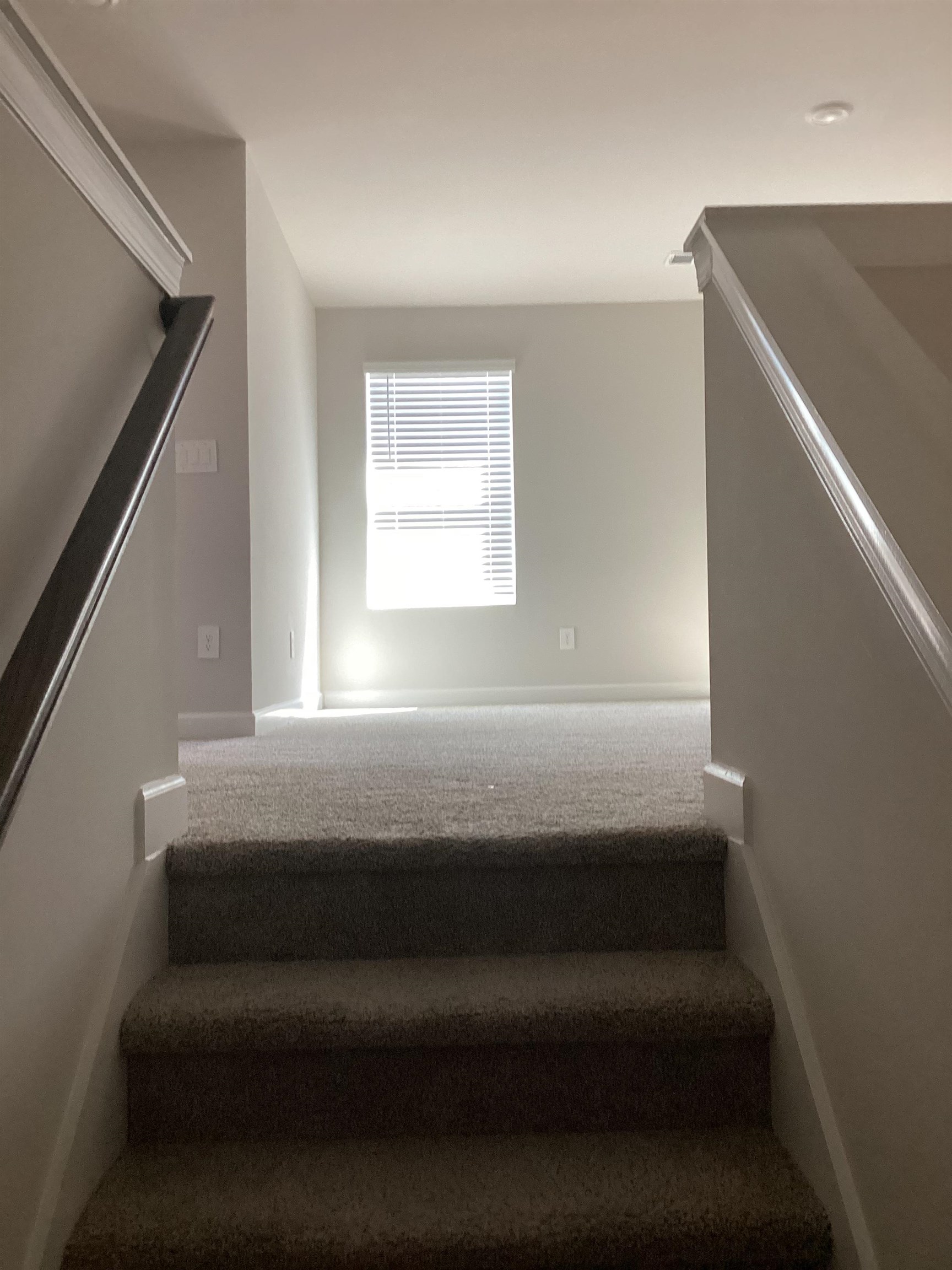 289 Lavinia Circle Property Photo 20