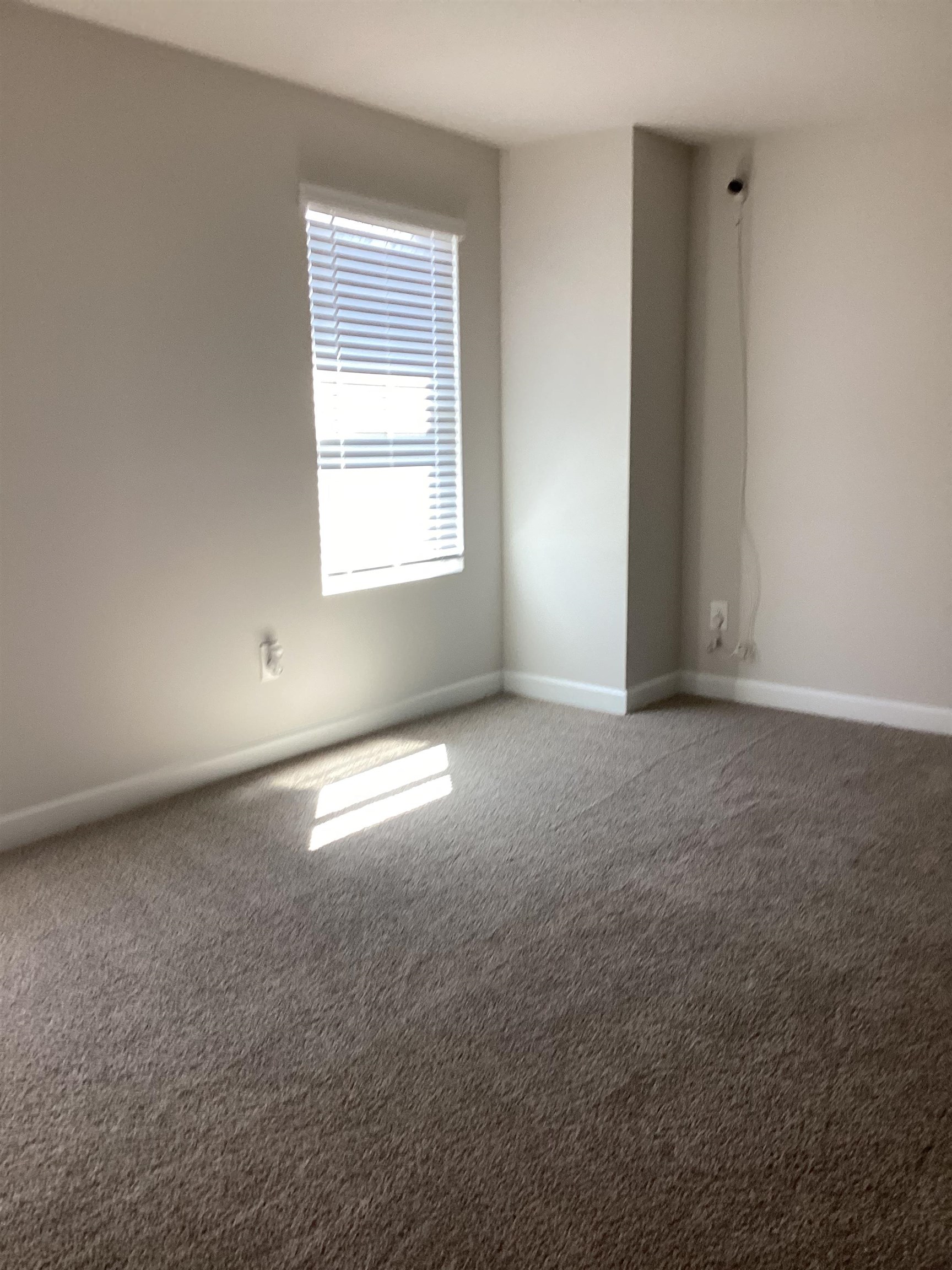 289 Lavinia Circle Property Photo 34