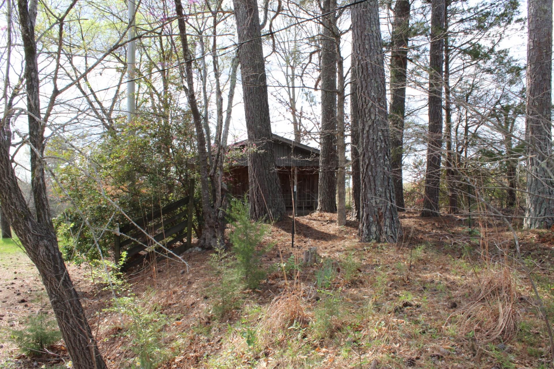 7282 Highway 108 East Highway Property Photo 8