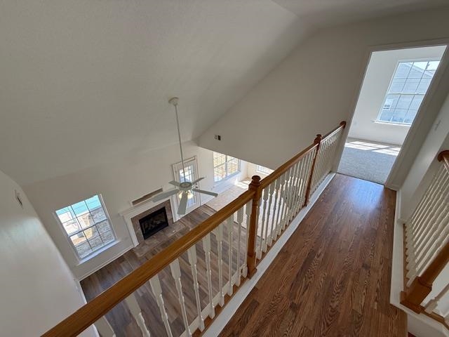 238 Waxberry Court Property Photo 36