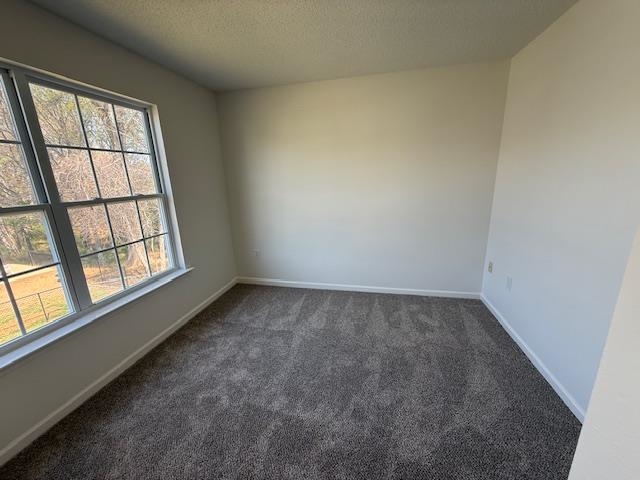 238 Waxberry Court Property Photo 43