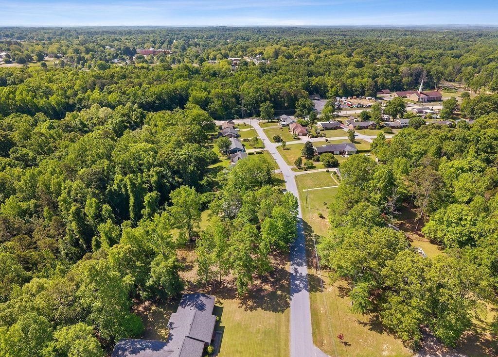 204 Birchwood Drive Property Photo 40